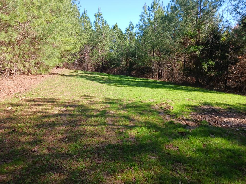 683 Saw Mill Road, Unit 2 Farmville, VA 23901 - Photo 9 of 11 Gallery Image 9
