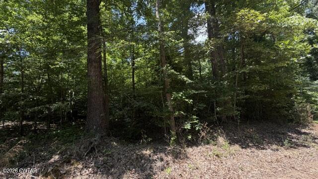 0 Westport Road Huntingdon, TN 38344 - Photo 49 of 58 IMG_9066