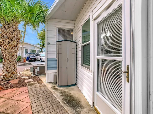 a view of a backyard with a large tree