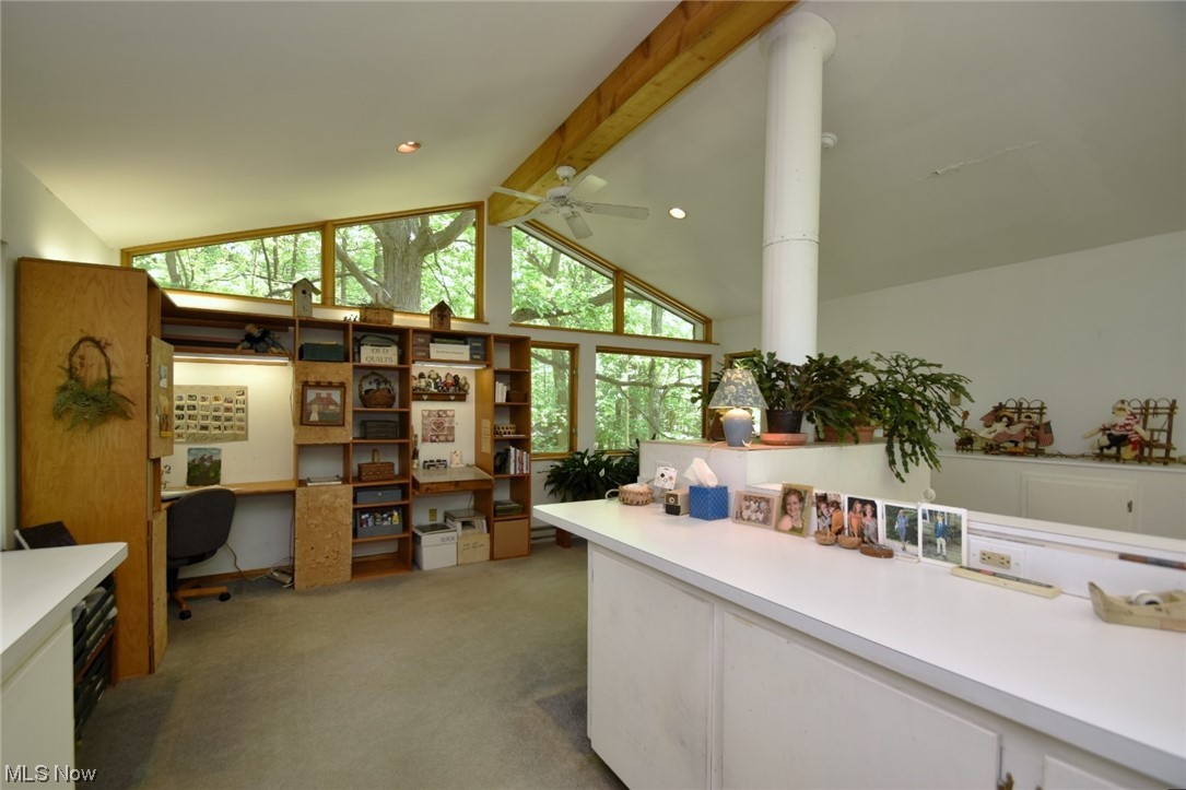4259 Brainard Road Chagrin Falls, OH 44022 - Photo 27 of 32 Studio