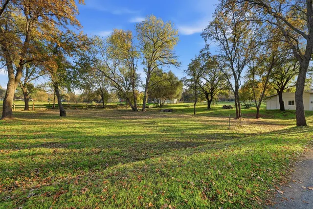 a view of yard with tree