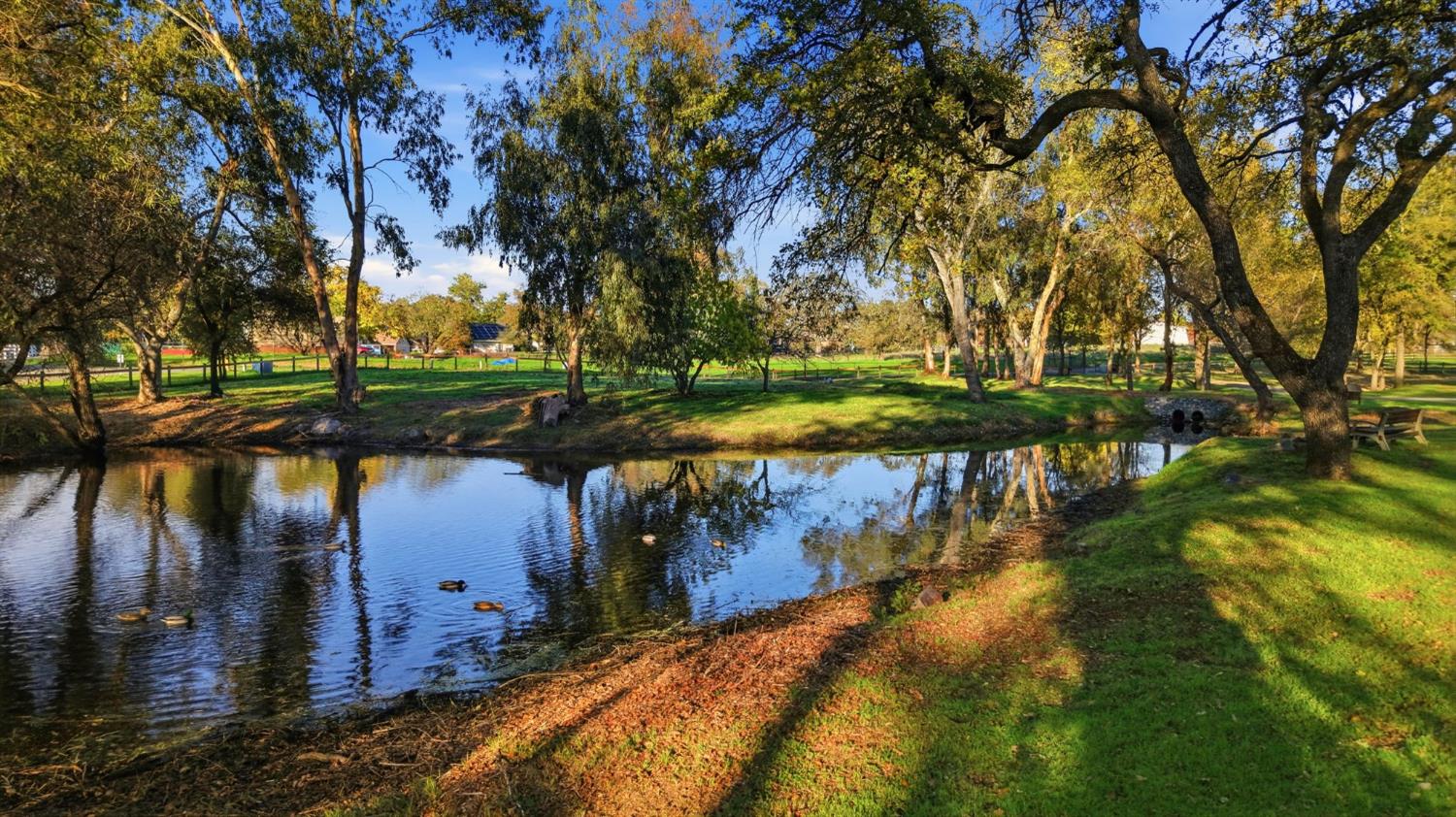 7890 Boren Lane Granite Bay, CA 95746 - Photo 89 of 96