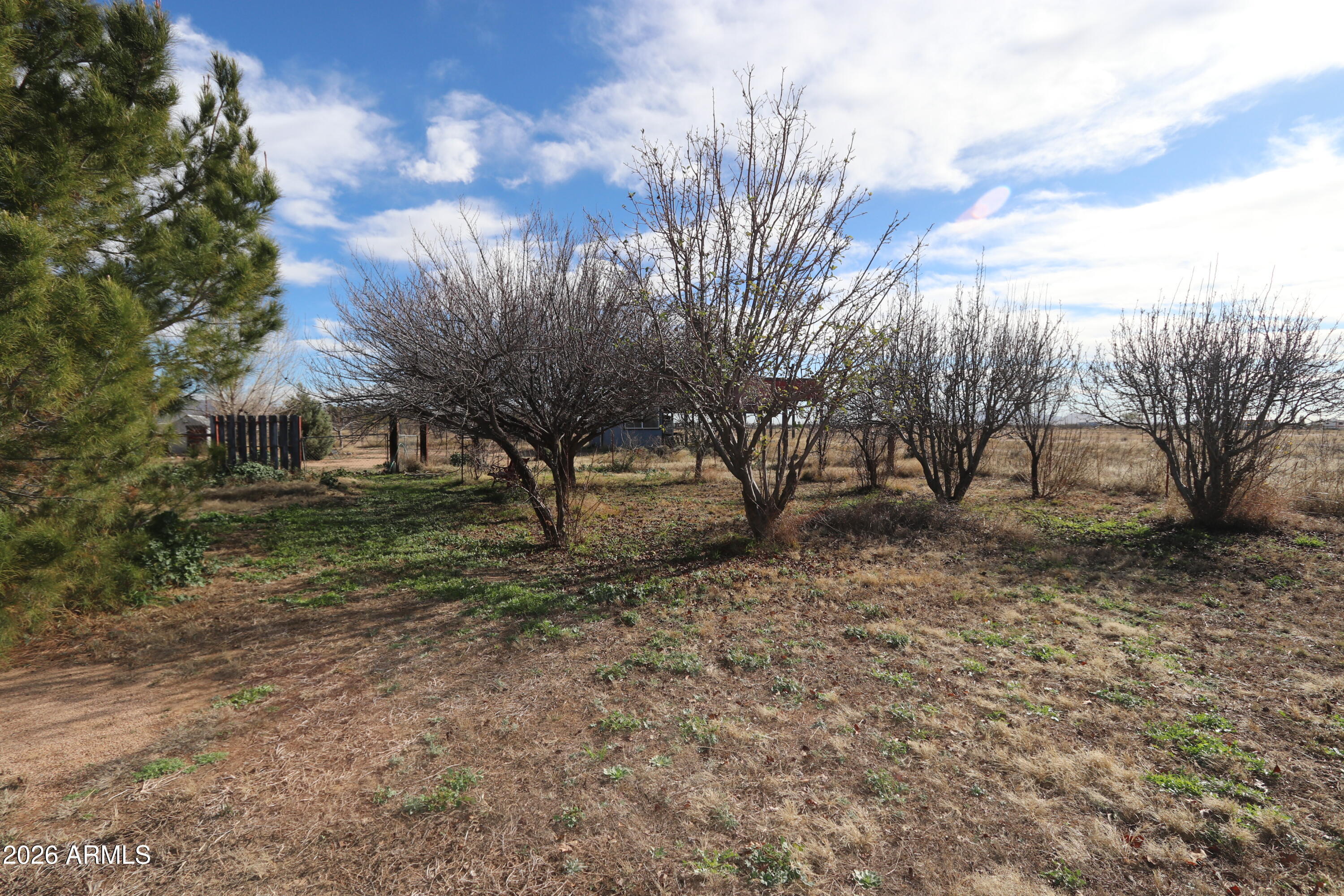 11870 Fort Grant Road Willcox, AZ 85643 - Photo 34 of 44 a view of backyard with green space