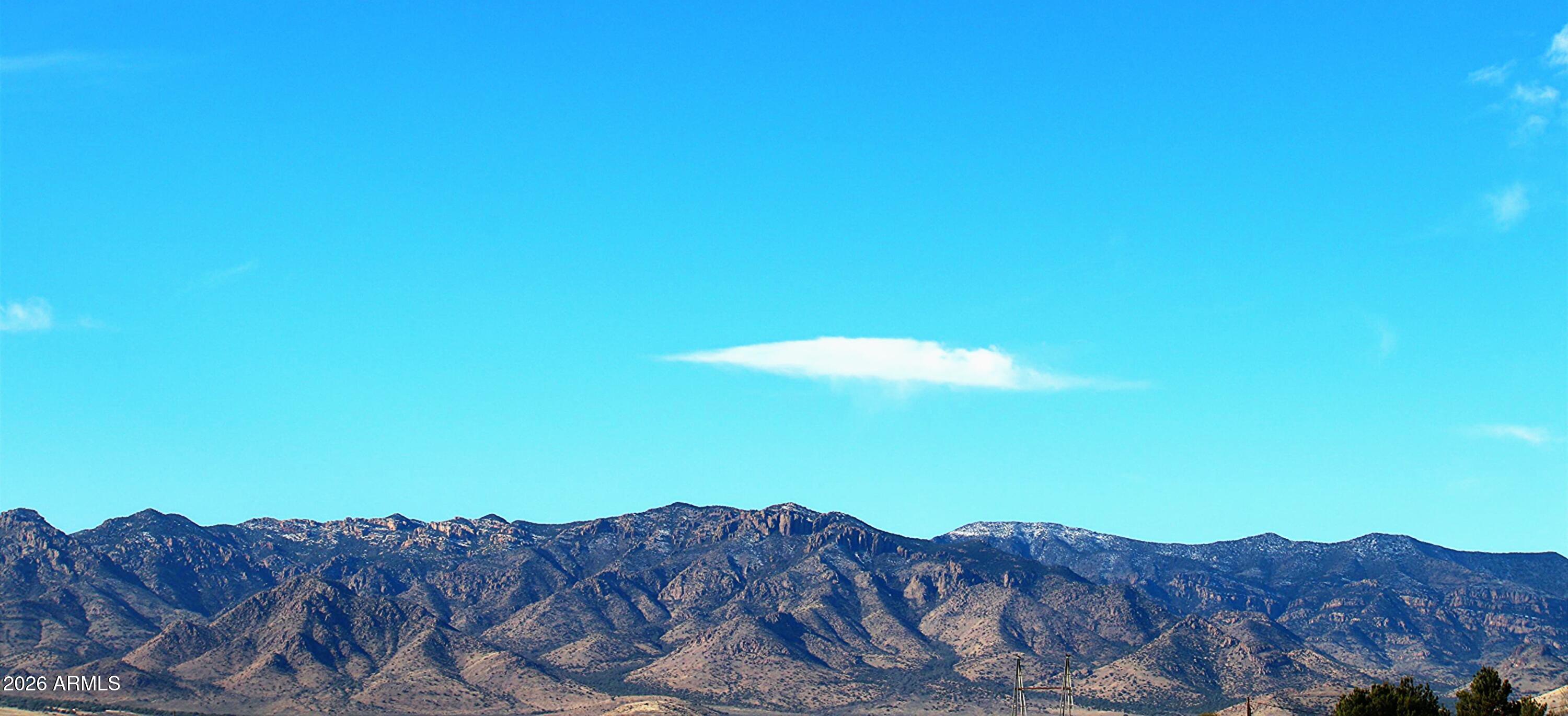 11870 Fort Grant Road Willcox, AZ 85643 - Photo 37 of 44 a view of a large tree with a mountain in the background