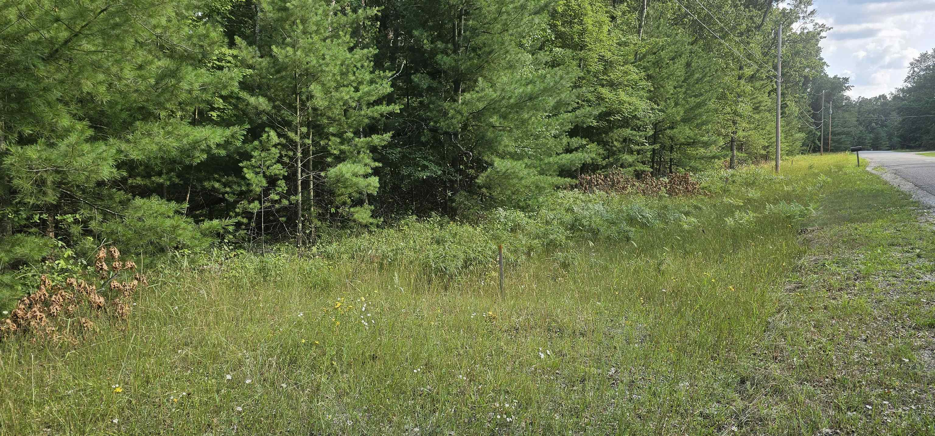 0 Wilderness Road Alger, MI 48610 - Photo 5 of 8