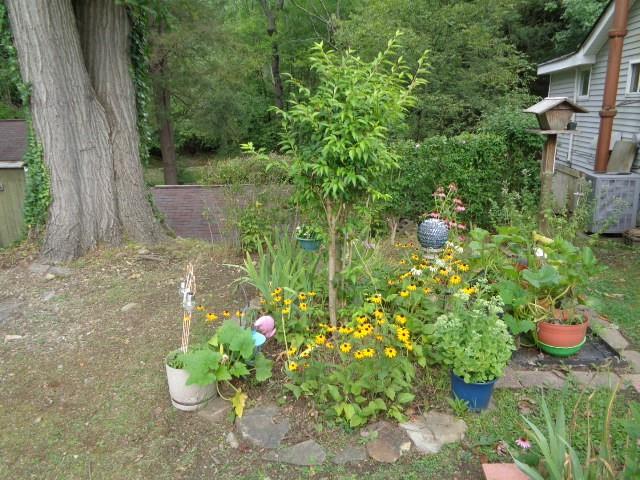 1209 Old Falls Road Acme, PA 15610 - Photo 14 of 17 Gallery Image 14