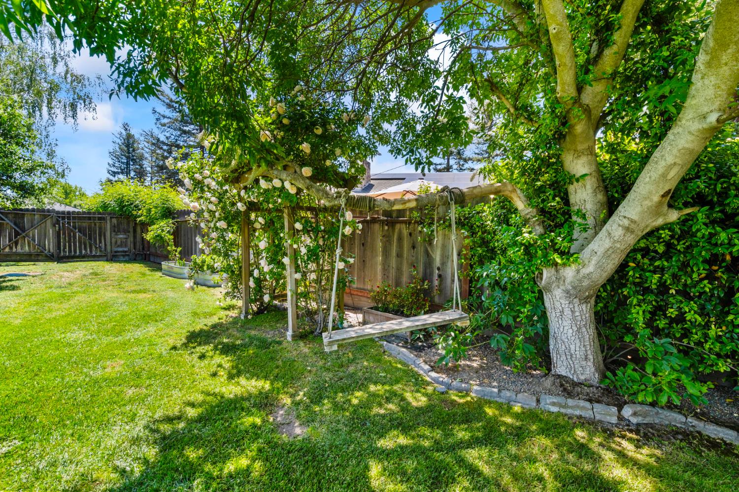 2433 Broadridge Way Stockton, CA 95209 - Photo 48 of 67 a view of a backyard with a tree