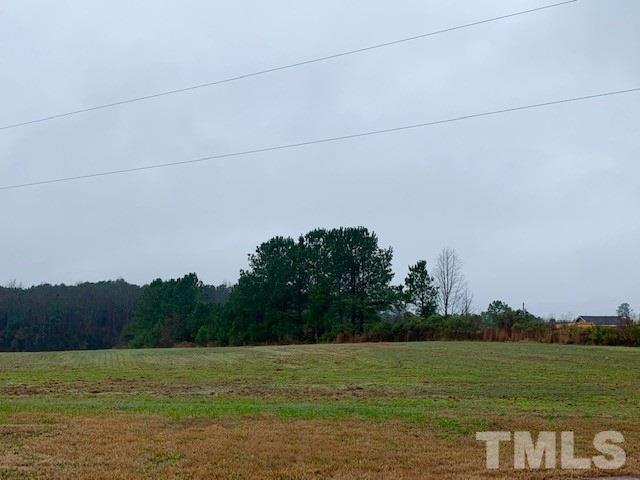 1173 Hatcher Road Selma, NC 27576 - Photo 19 of 19 Gallery Image 19