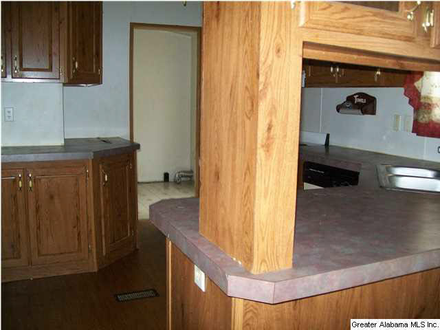 685 Vaughn Road Trafford, AL 35172 - Photo 3 of 7