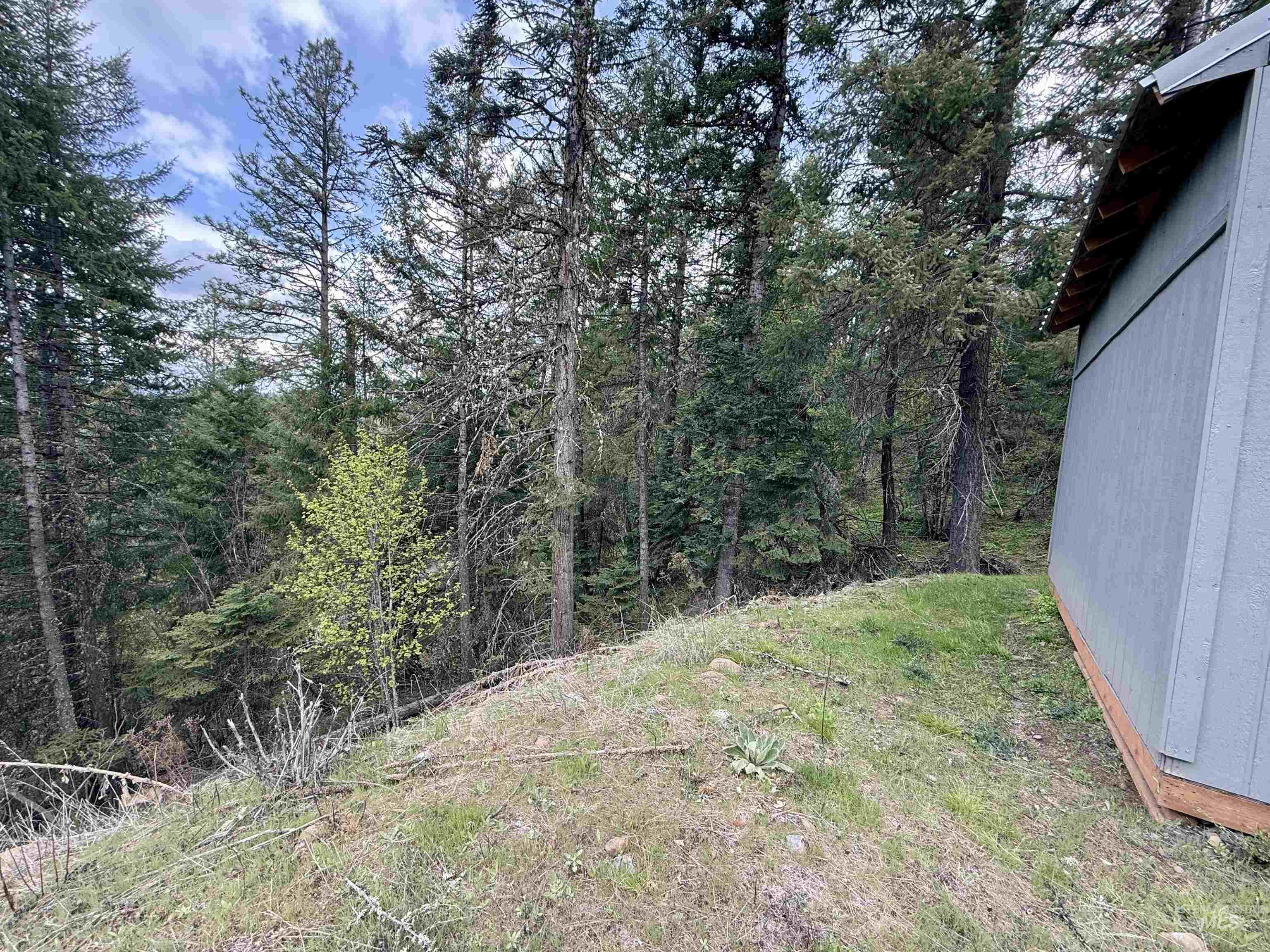 Tbd Lakeview Road Orofino, ID 83544 - Photo 11 of 31