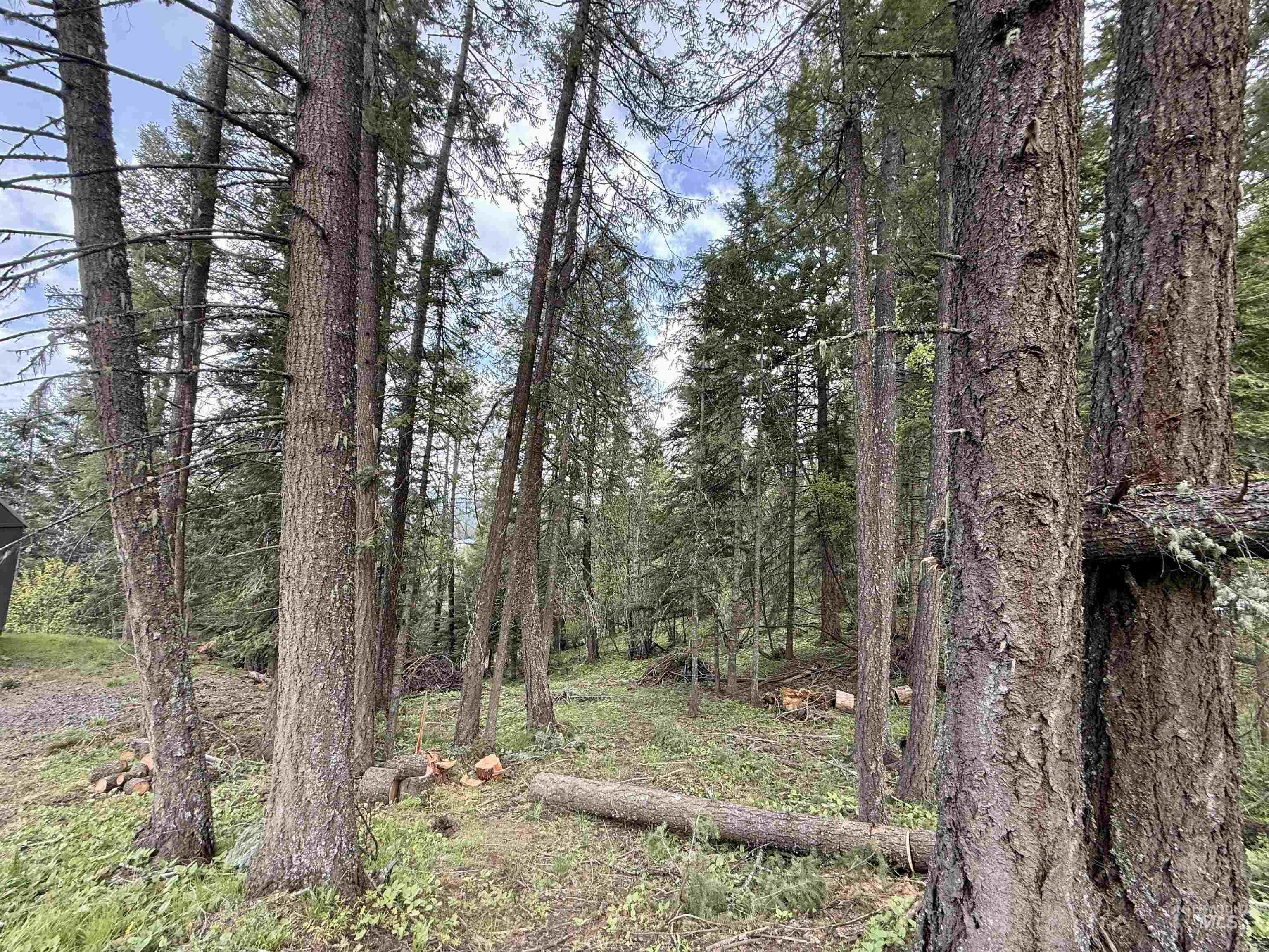 Tbd Lakeview Road Orofino, ID 83544 - Photo 15 of 31