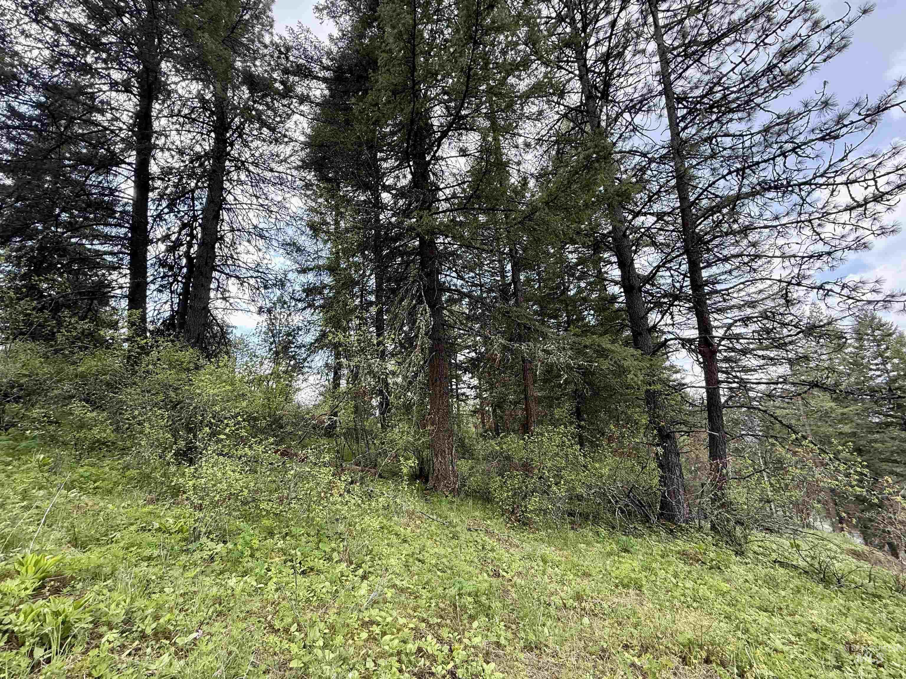 Tbd Lakeview Road Orofino, ID 83544 - Photo 18 of 31