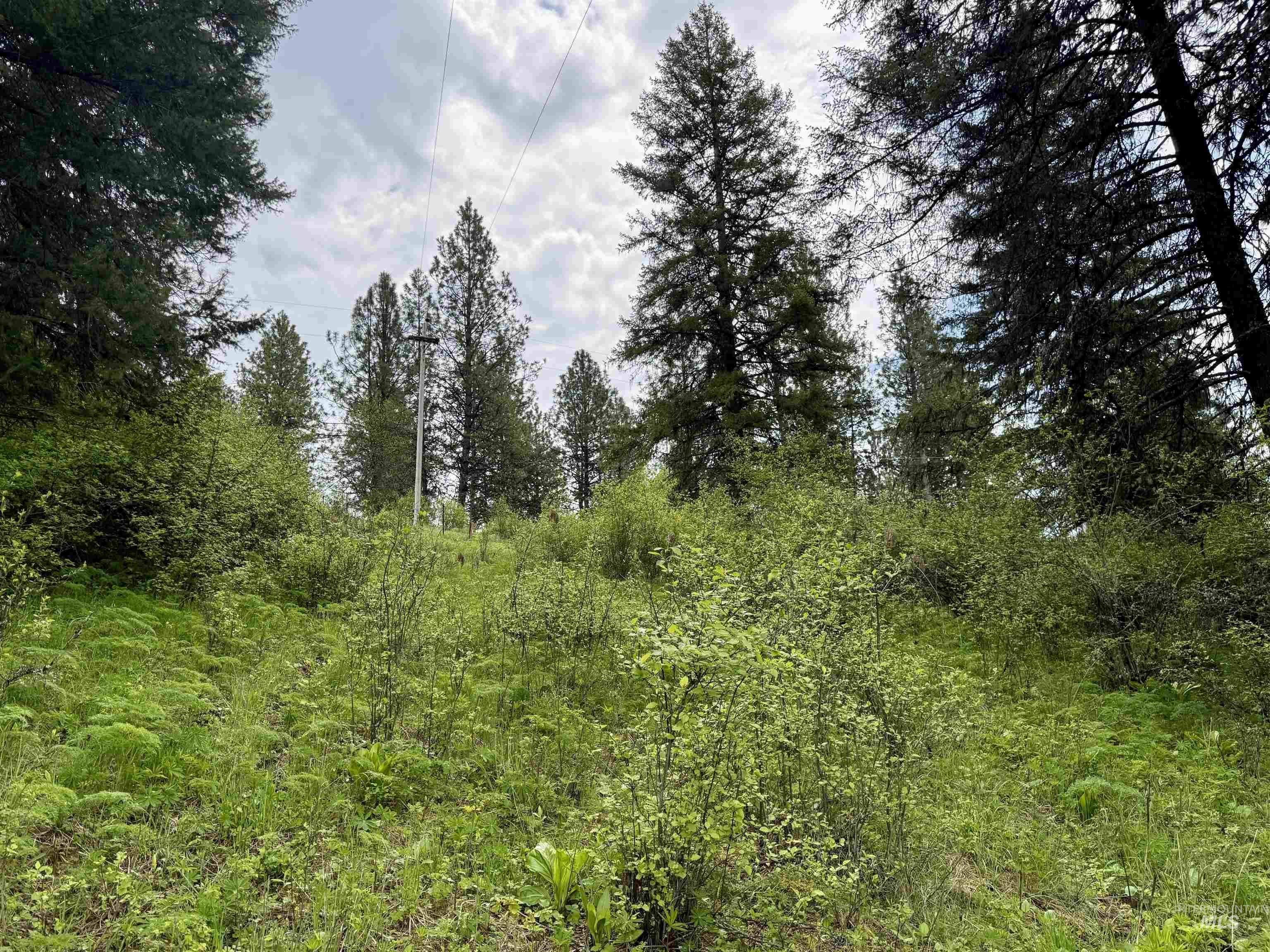 Tbd Lakeview Road Orofino, ID 83544 - Photo 19 of 31