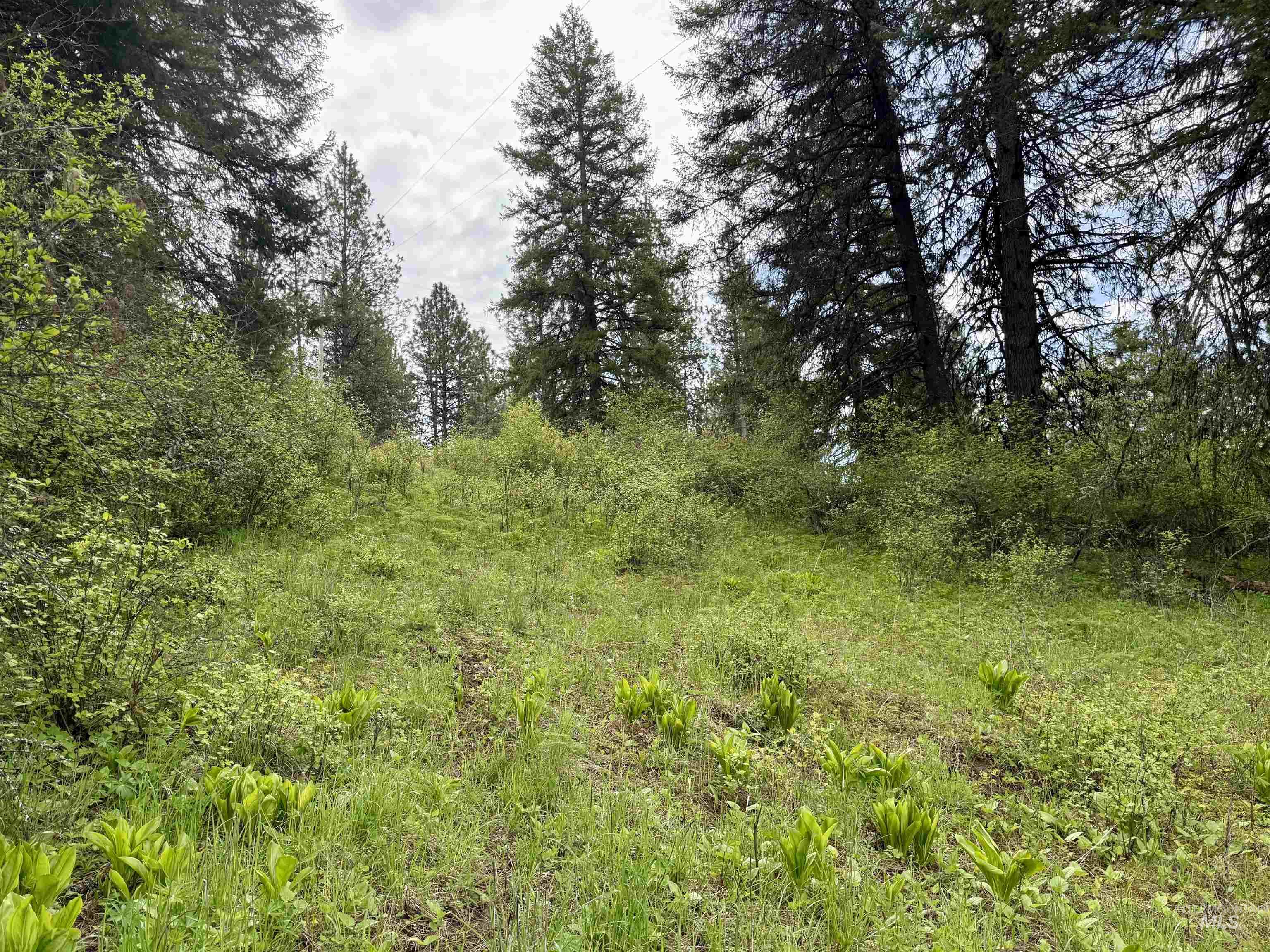 Tbd Lakeview Road Orofino, ID 83544 - Photo 20 of 31