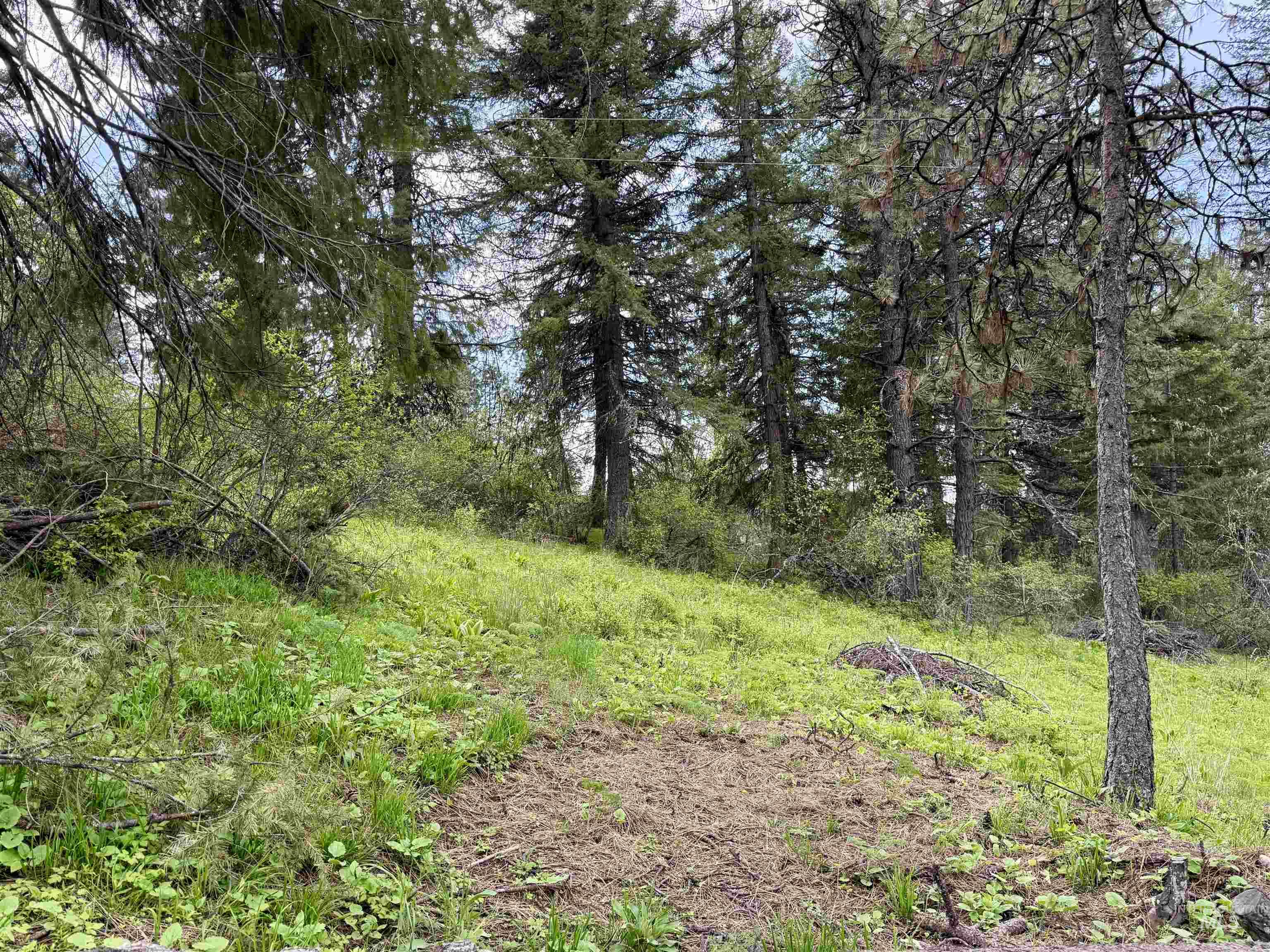 Tbd Lakeview Road Orofino, ID 83544 - Photo 21 of 31