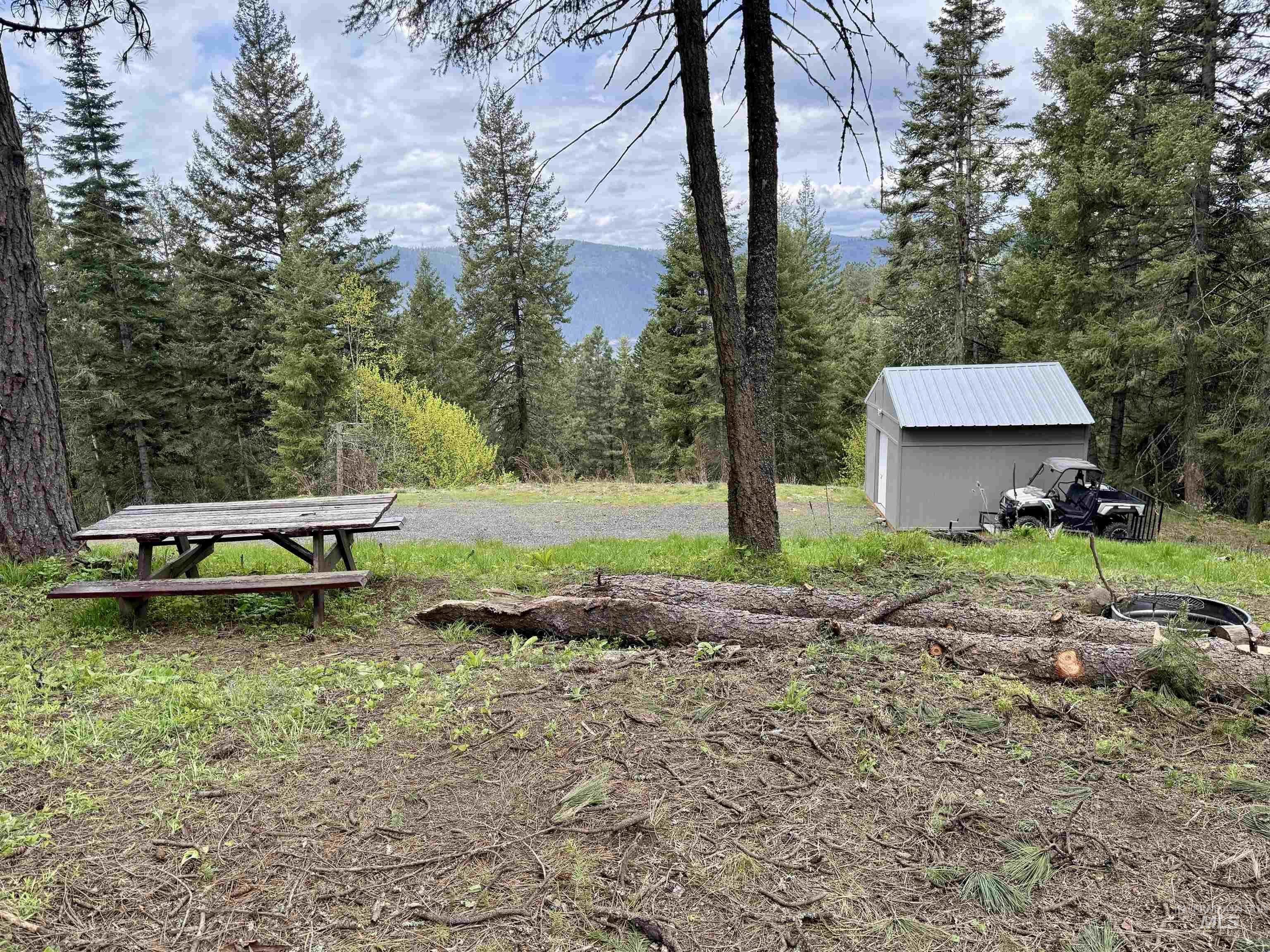 Tbd Lakeview Road Orofino, ID 83544 - Photo 22 of 31