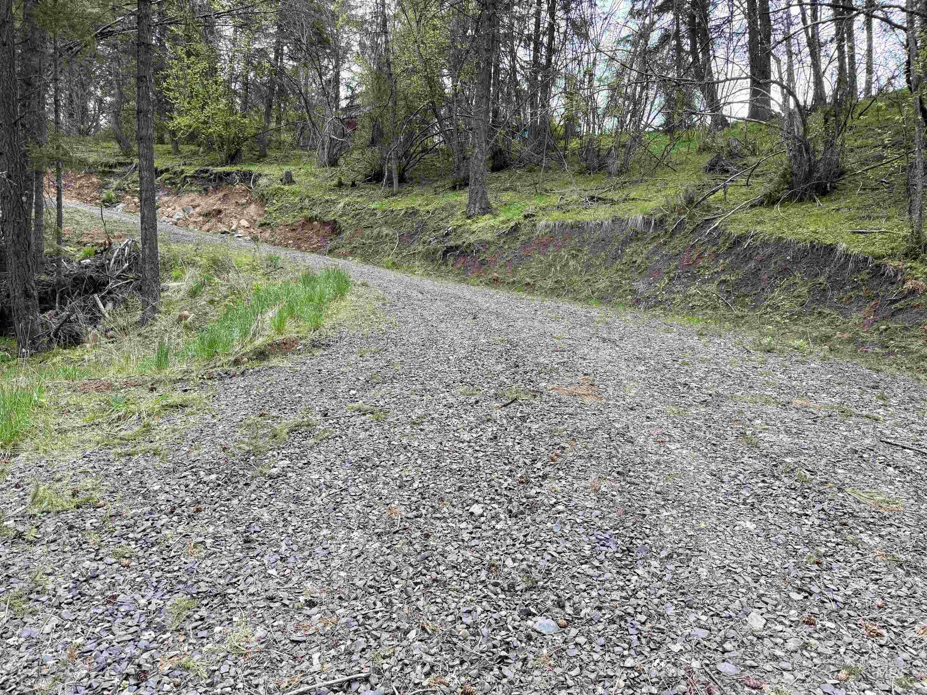 Tbd Lakeview Road Orofino, ID 83544 - Photo 24 of 31