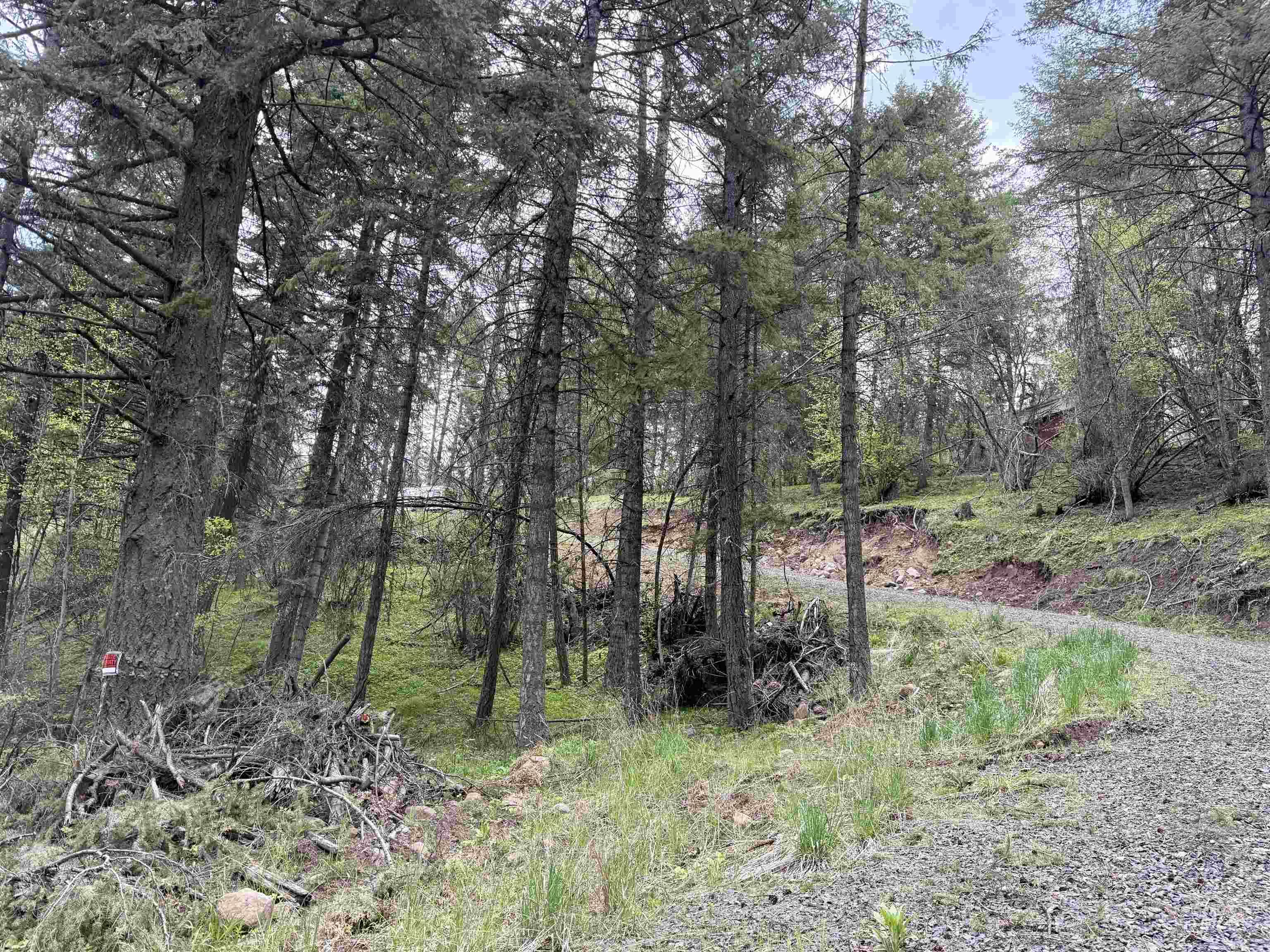 Tbd Lakeview Road Orofino, ID 83544 - Photo 25 of 31