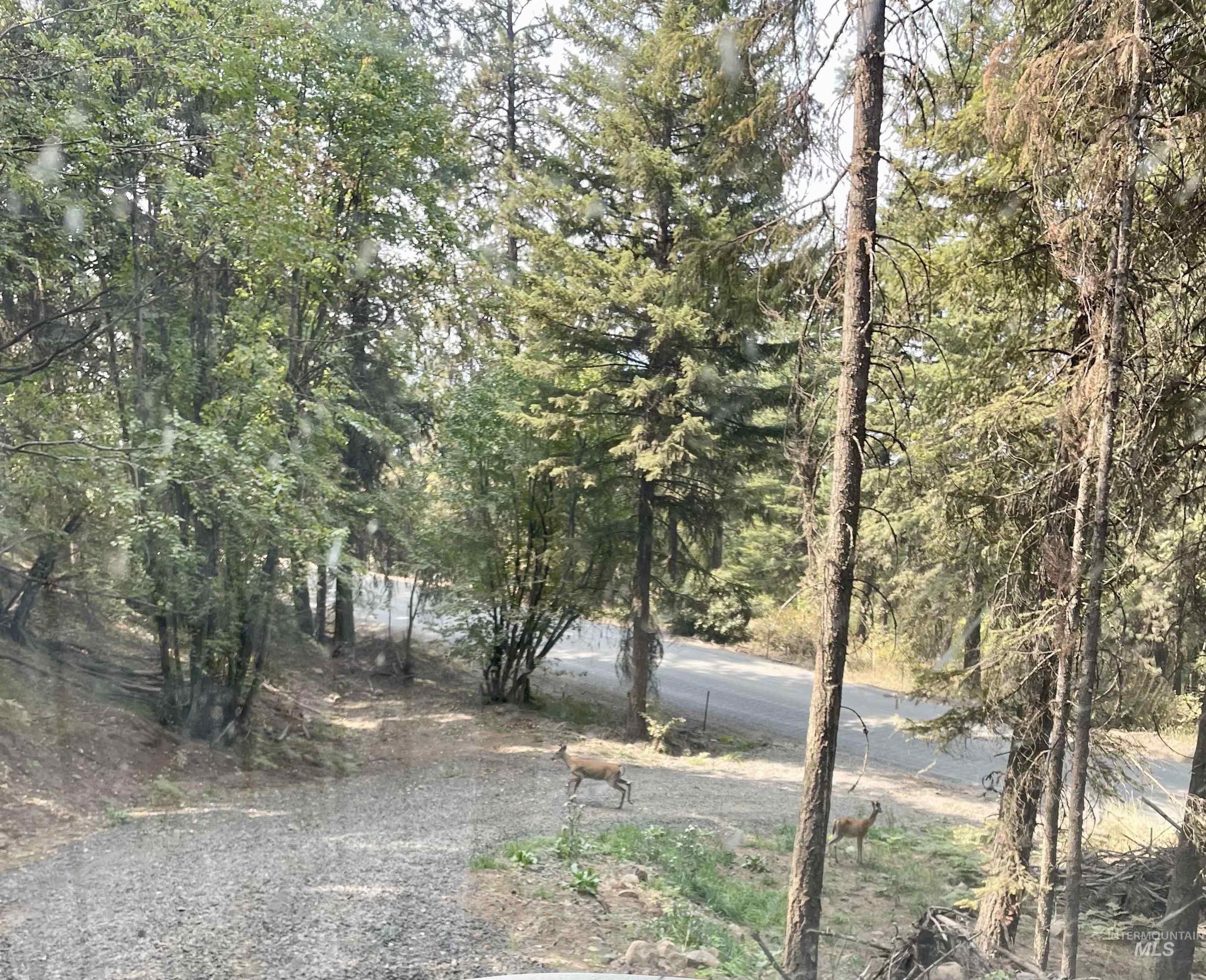 Tbd Lakeview Road Orofino, ID 83544 - Photo 26 of 31