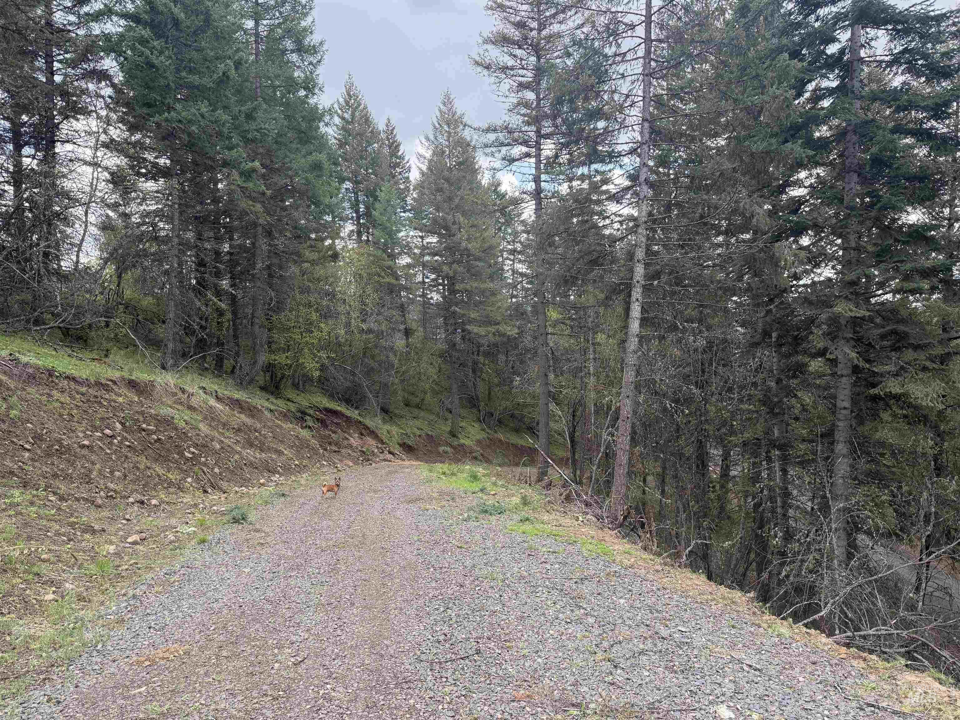 Tbd Lakeview Road Orofino, ID 83544 - Photo 29 of 31