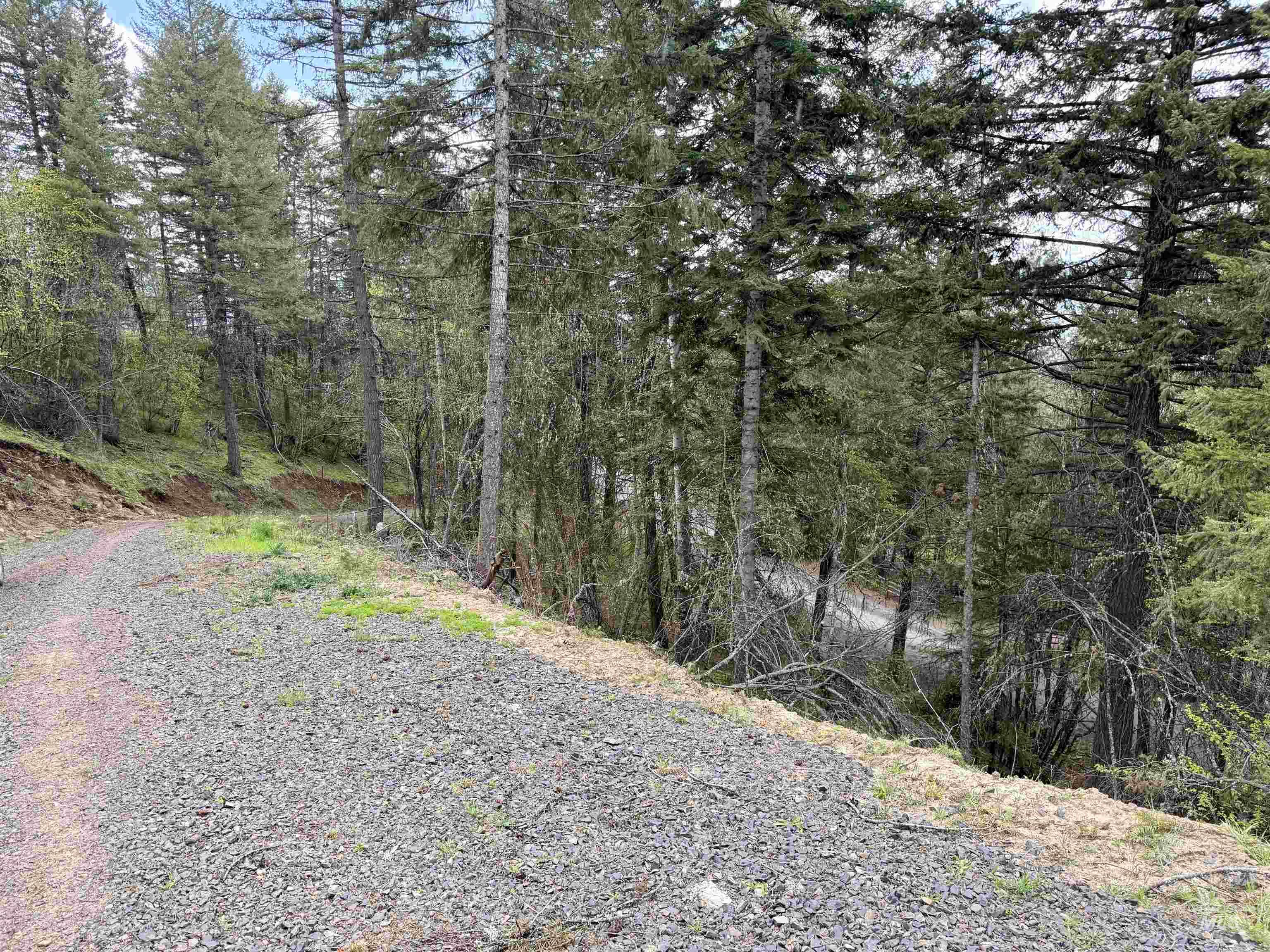 Tbd Lakeview Road Orofino, ID 83544 - Photo 30 of 31