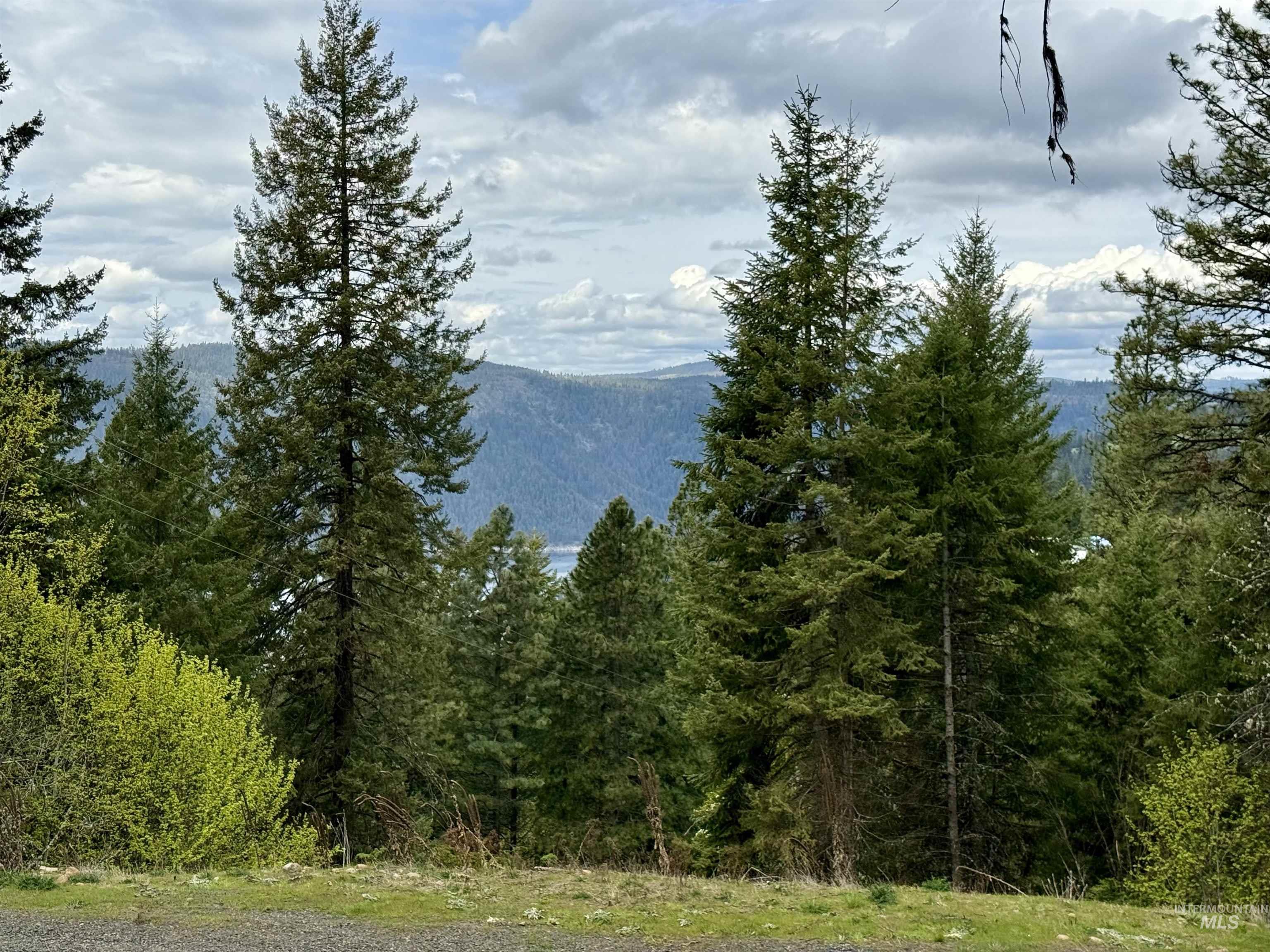 Tbd Lakeview Road Orofino, ID 83544 - Photo 3 of 31