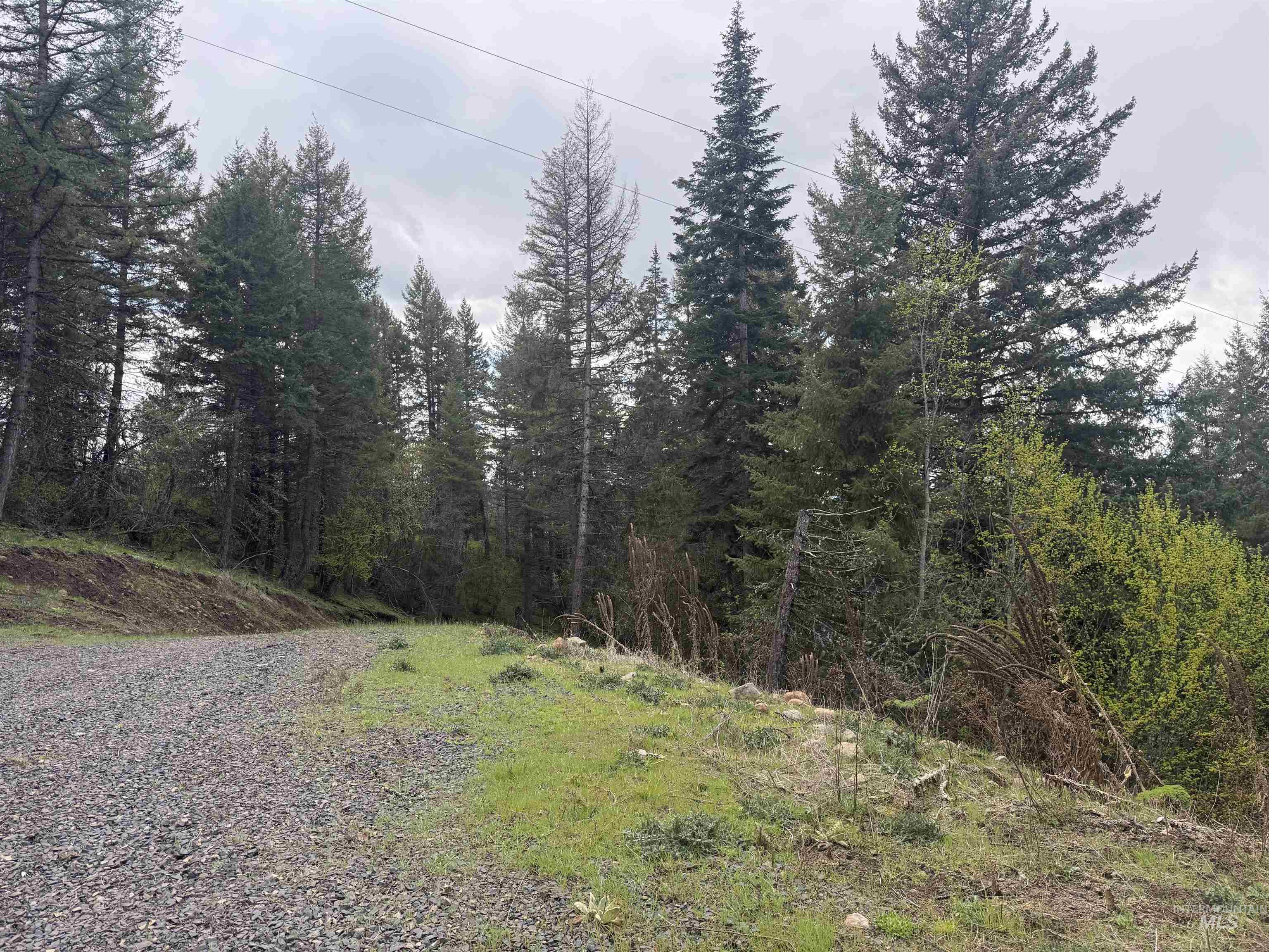 Tbd Lakeview Road Orofino, ID 83544 - Photo 8 of 31