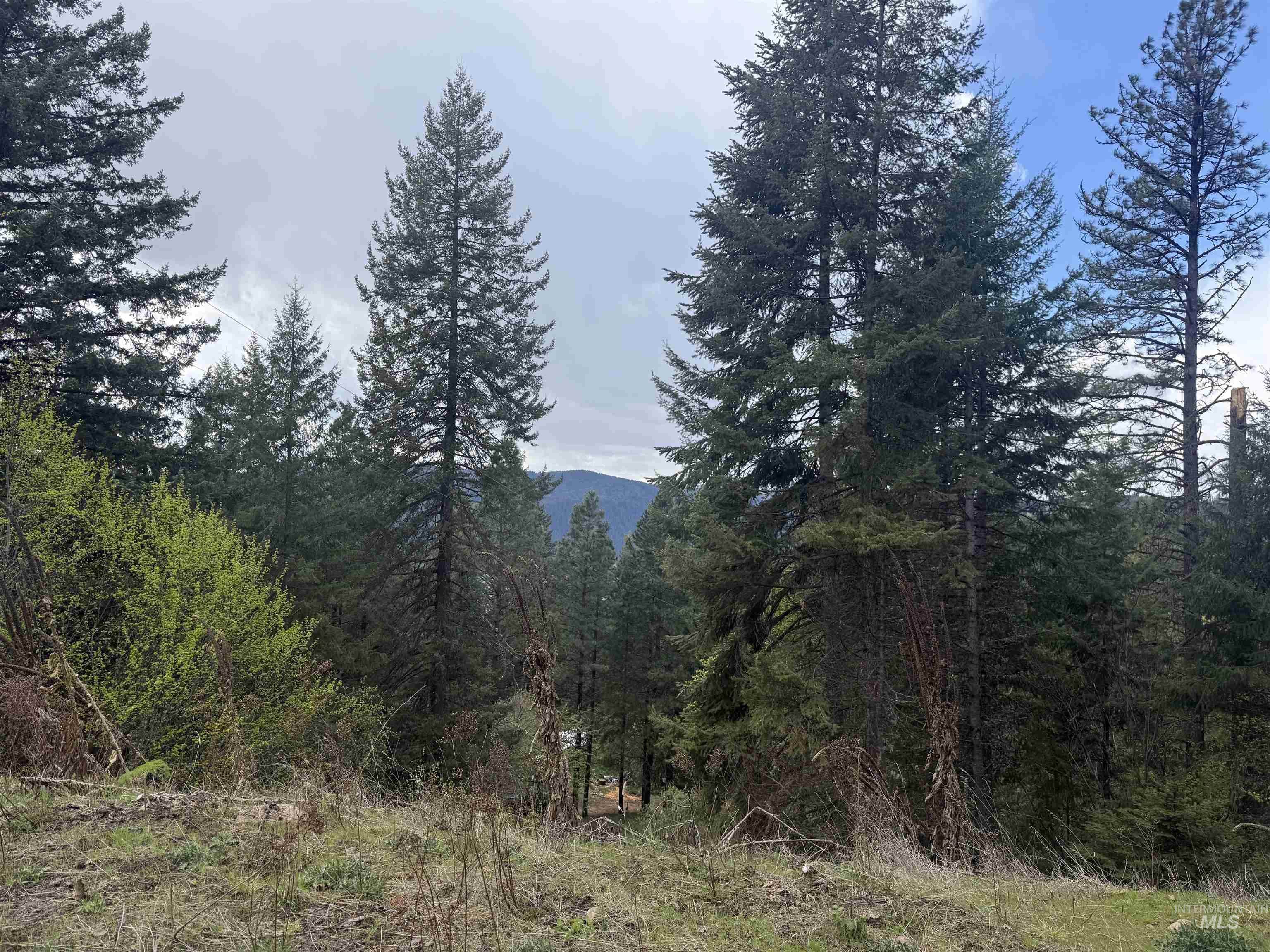 Tbd Lakeview Road Orofino, ID 83544 - Photo 9 of 31