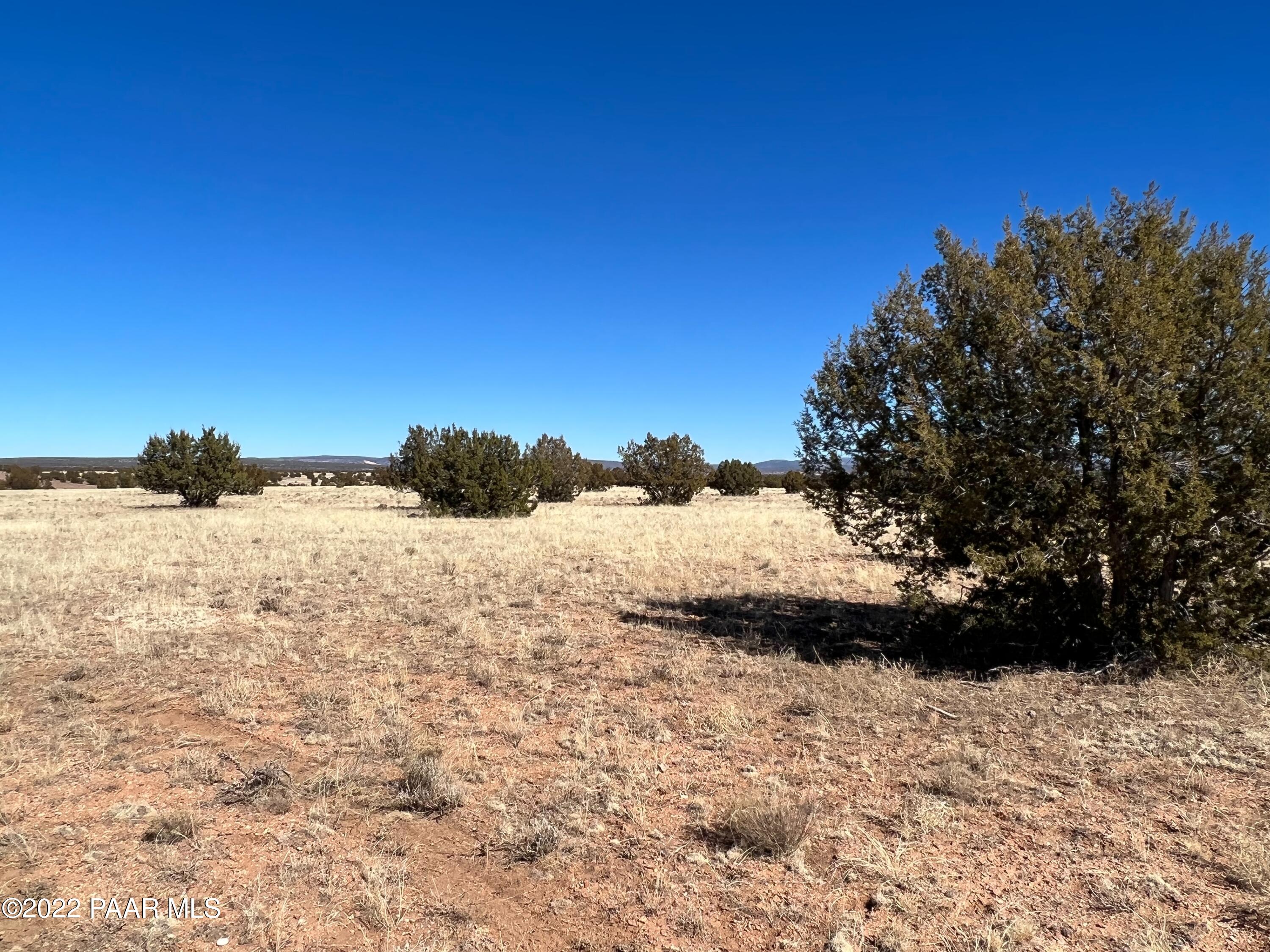 346 Southeast Tanner Road Ash Fork, AZ 86320 - Photo 6 of 7 IMG_0134