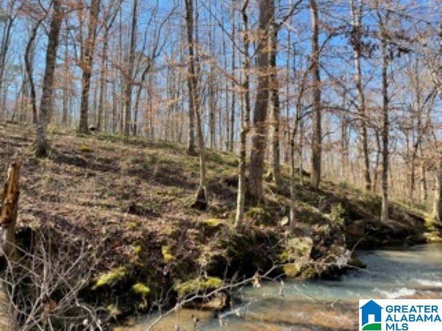 820 County Road, Unit 193 Roanoke, AL 36274 - Photo 8 of 15