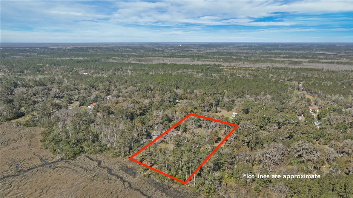 14009 Highway 99 Darien, GA 31305 - Photo 4 of 52