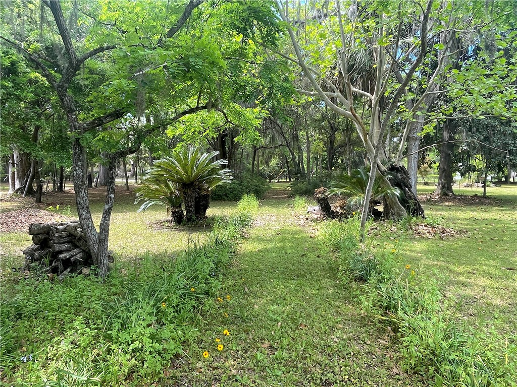 14009 Highway 99 Darien, GA 31305 - Photo 41 of 52