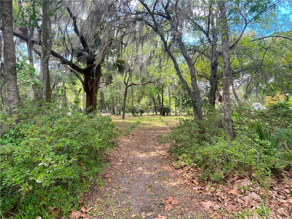 14009 Highway 99 Darien, GA 31305 - Photo 42 of 52