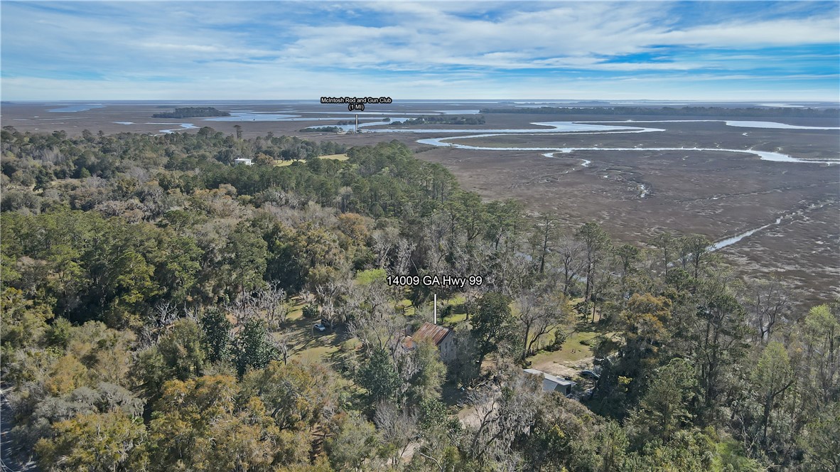 14009 Highway 99 Darien, GA 31305 - Photo 47 of 52
