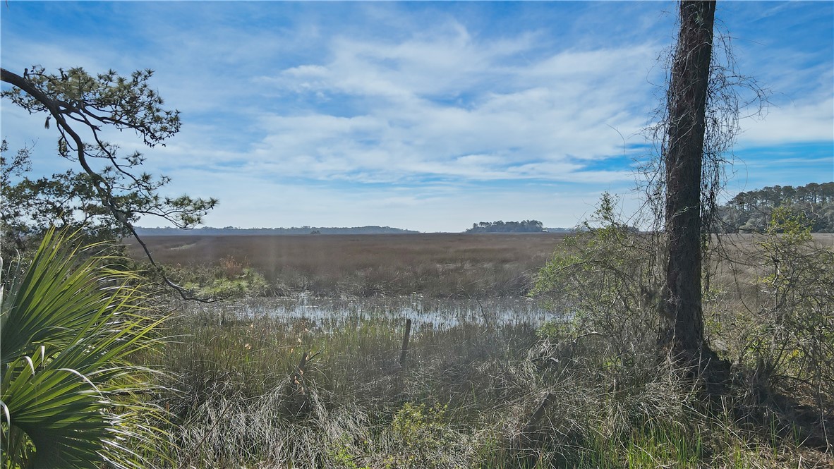 14009 Highway 99 Darien, GA 31305 - Photo 48 of 52 Marsh views looking towards Hird Island