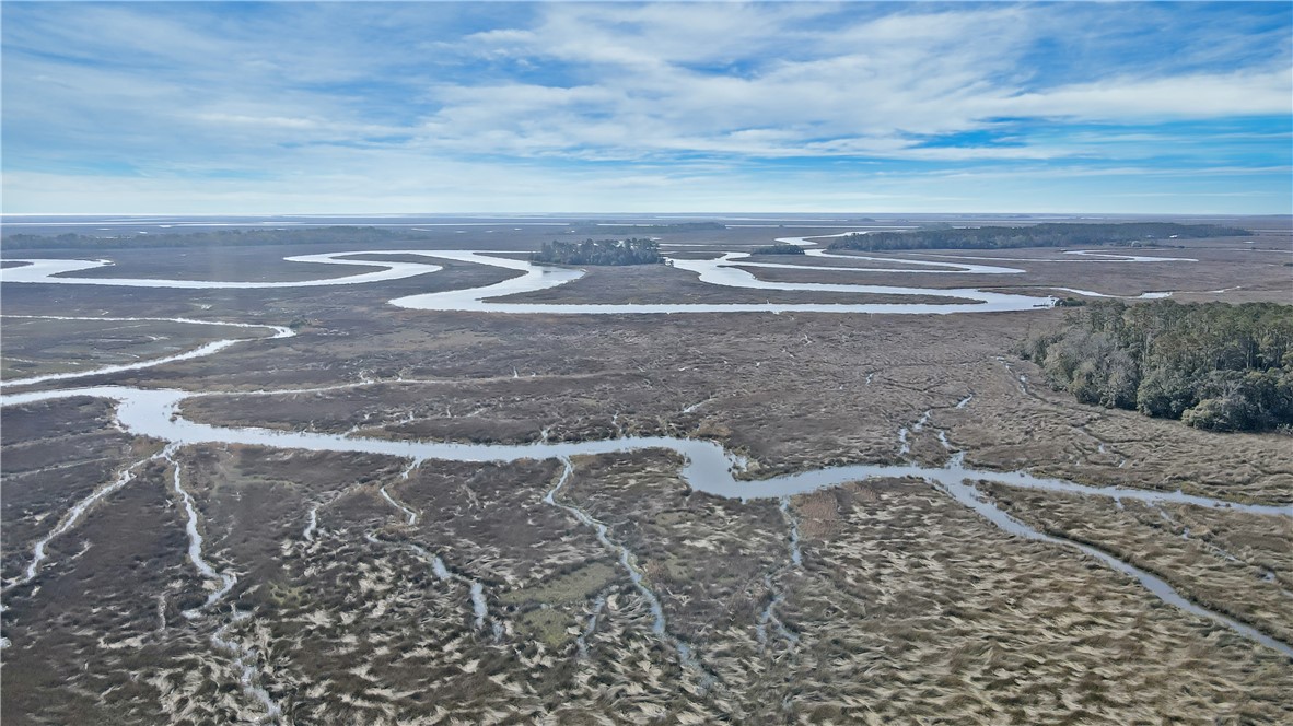 14009 Highway 99 Darien, GA 31305 - Photo 49 of 52 Marsh views looking towards Hird Island