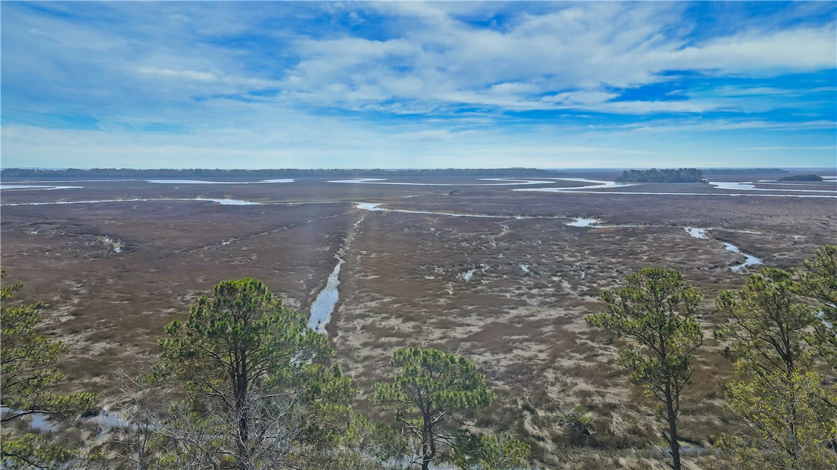 14009 Highway 99 Darien, GA 31305 - Photo 50 of 52 4.5 acres marshview looking towards Hird Island