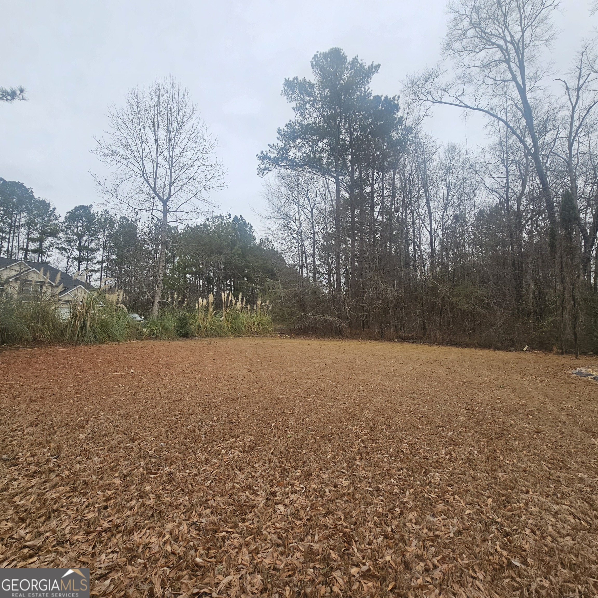 239 Kyndal Drive Hampton, GA 30228 - Photo 4 of 22