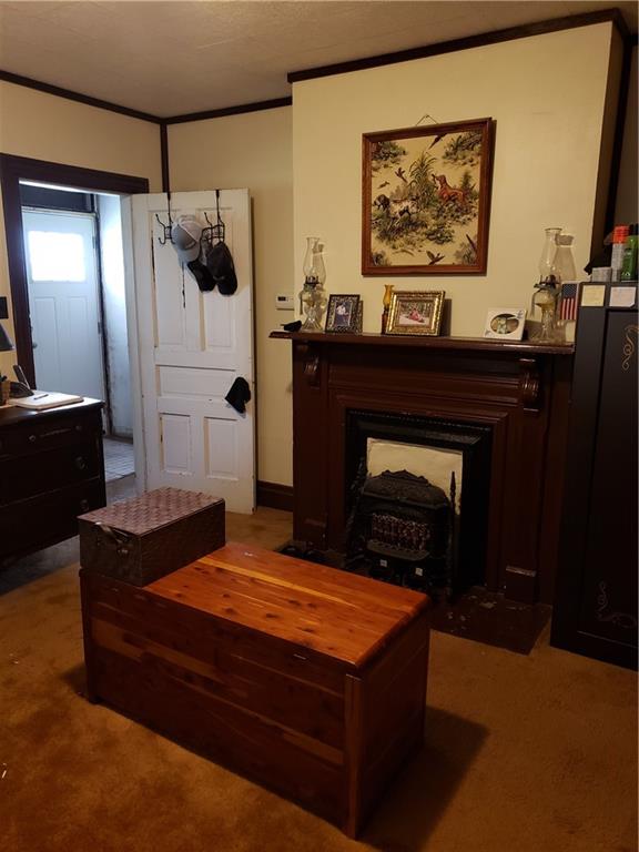 1033 Lessing Street Pittsburgh, PA 15220 - Photo 10 of 12 Gallery Image 10
