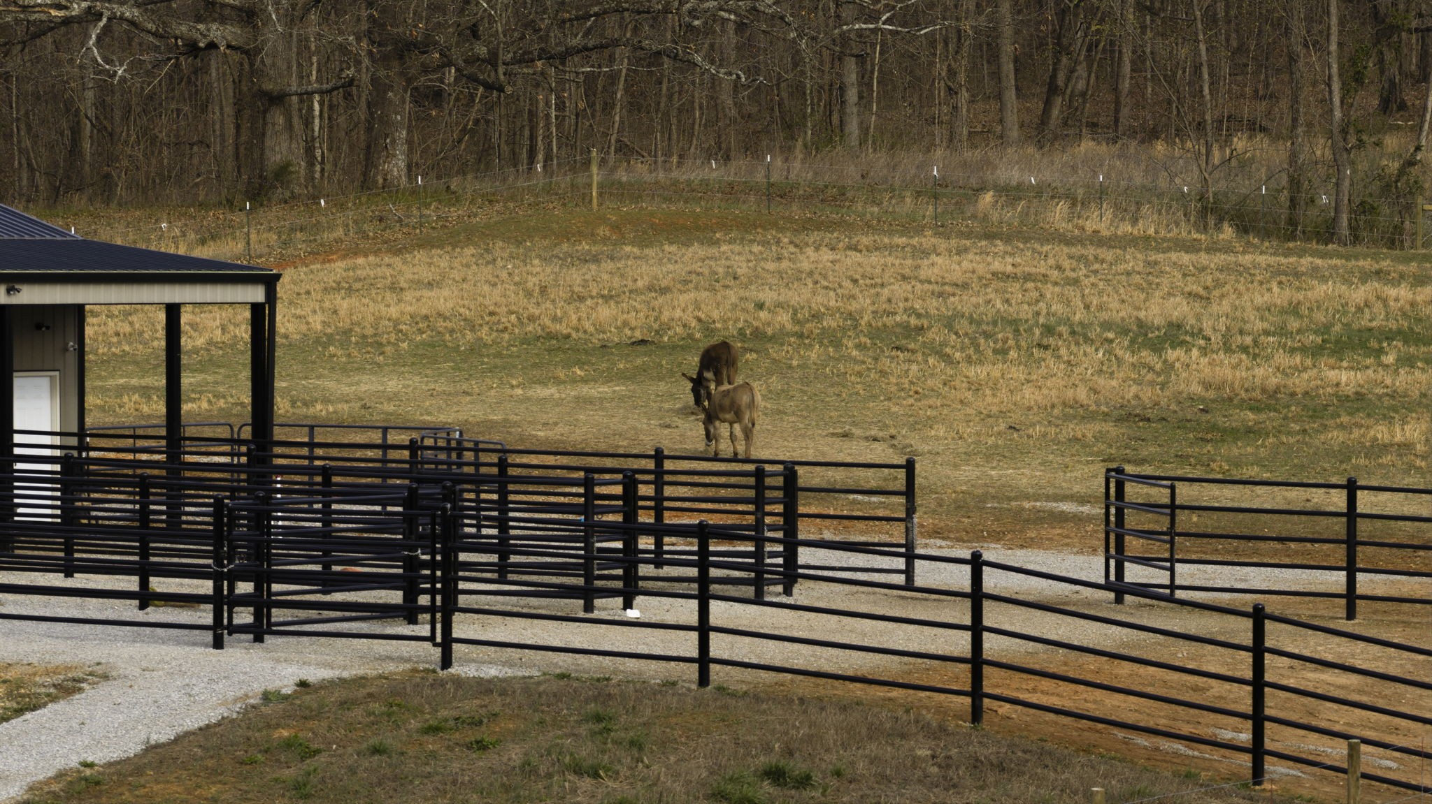 1185 Jack Smith Road Rockfield, KY 42274 - Photo 23 of 92