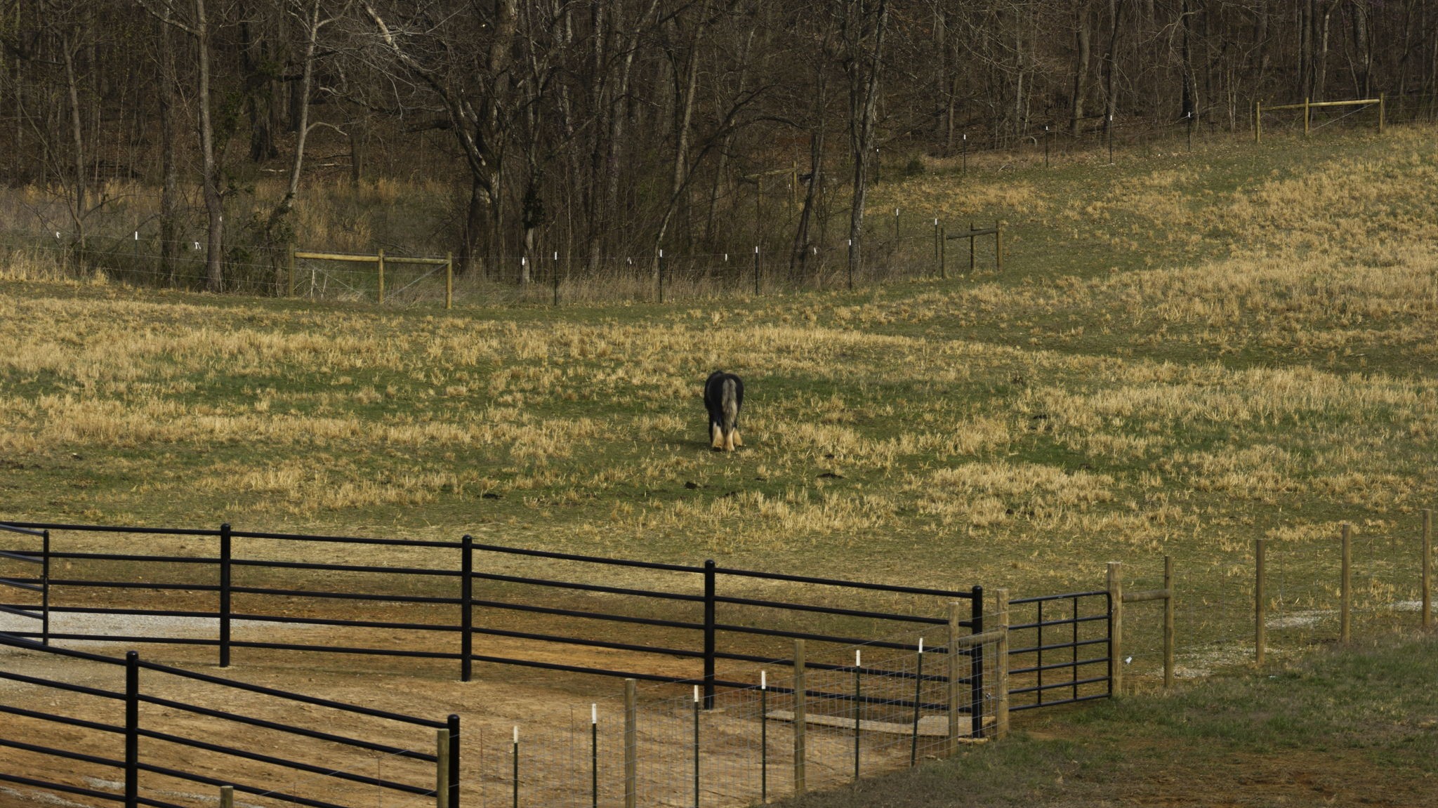 1185 Jack Smith Road Rockfield, KY 42274 - Photo 24 of 92