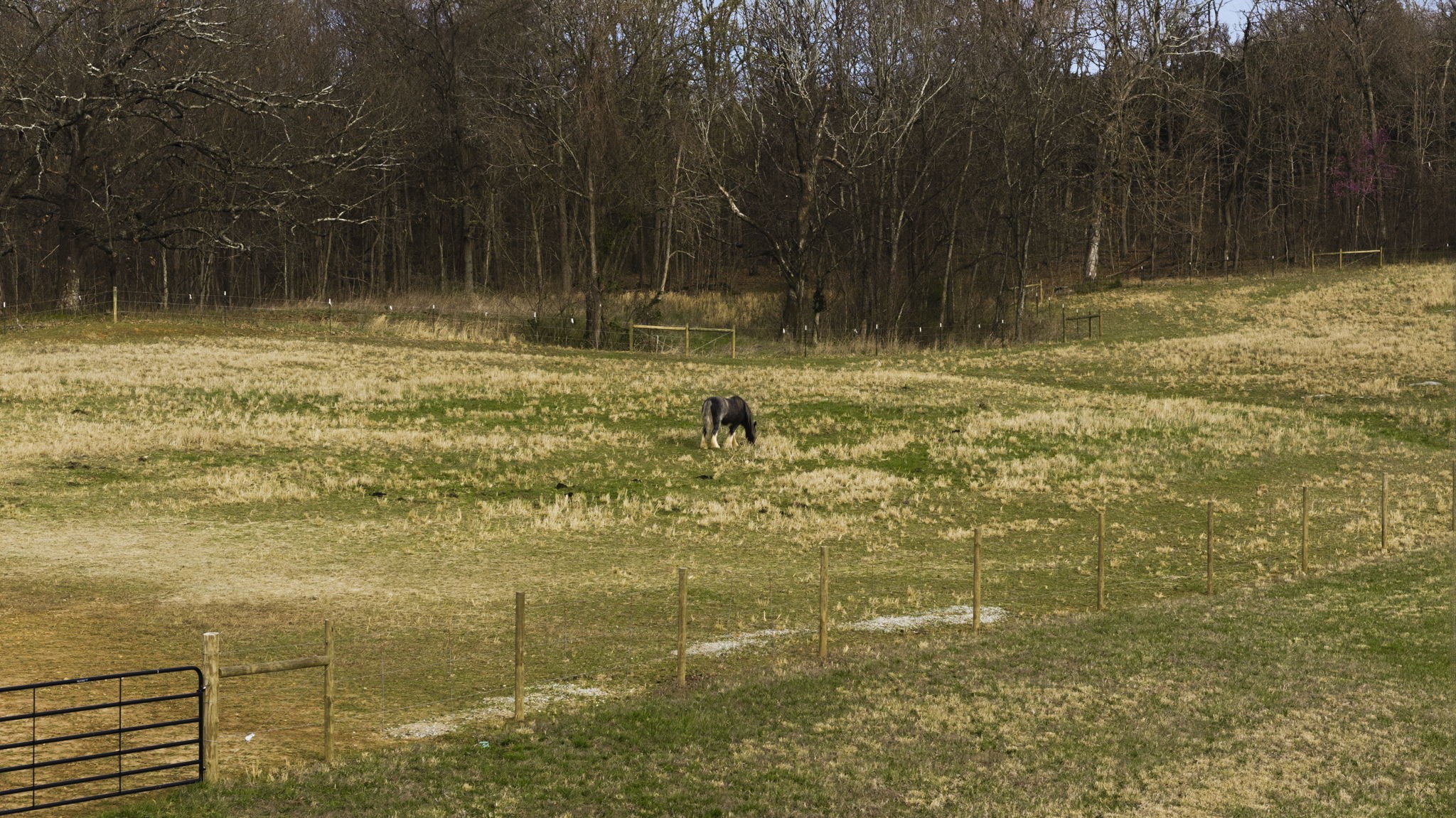 1185 Jack Smith Road Rockfield, KY 42274 - Photo 25 of 92