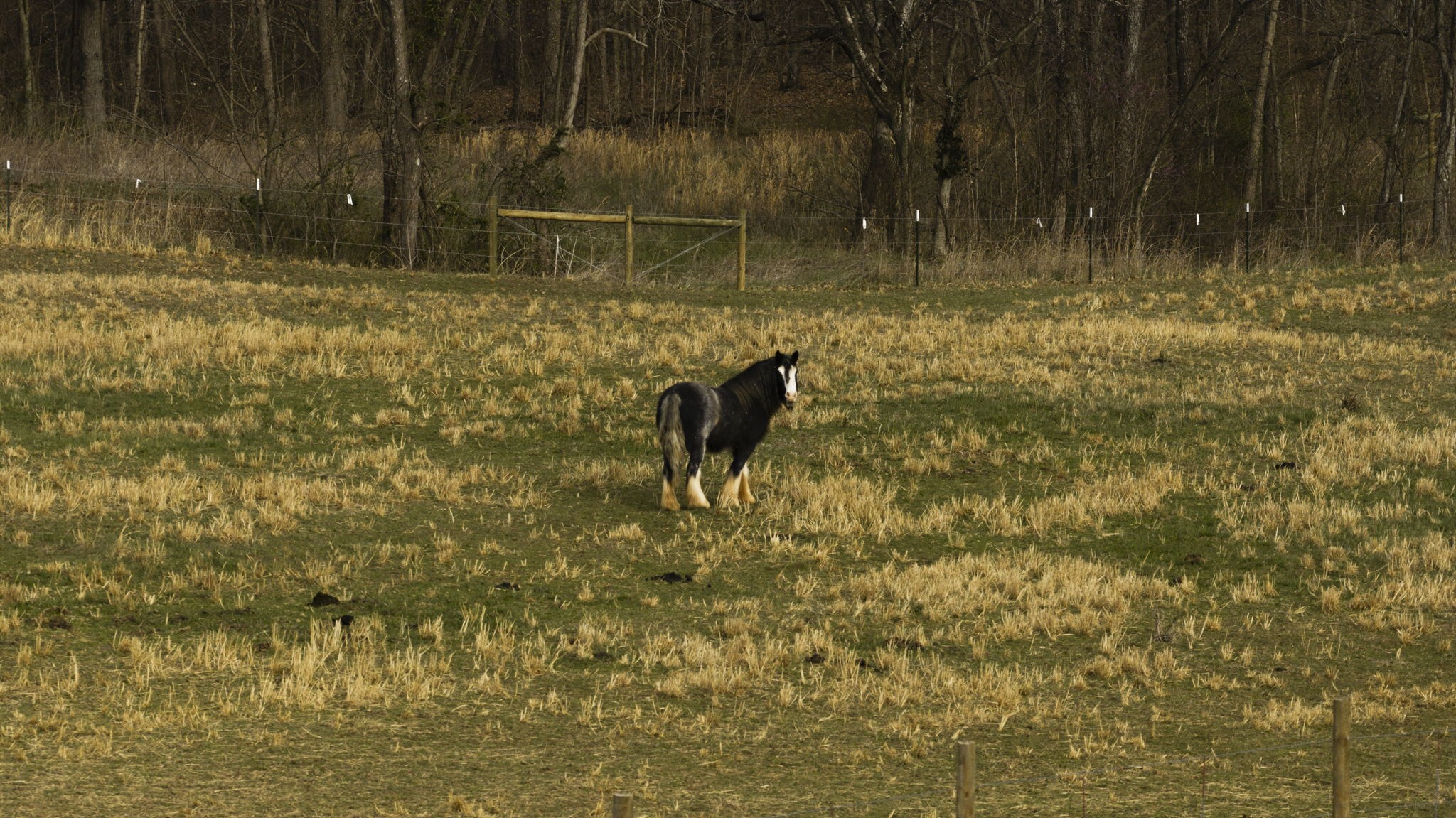 1185 Jack Smith Road Rockfield, KY 42274 - Photo 26 of 92
