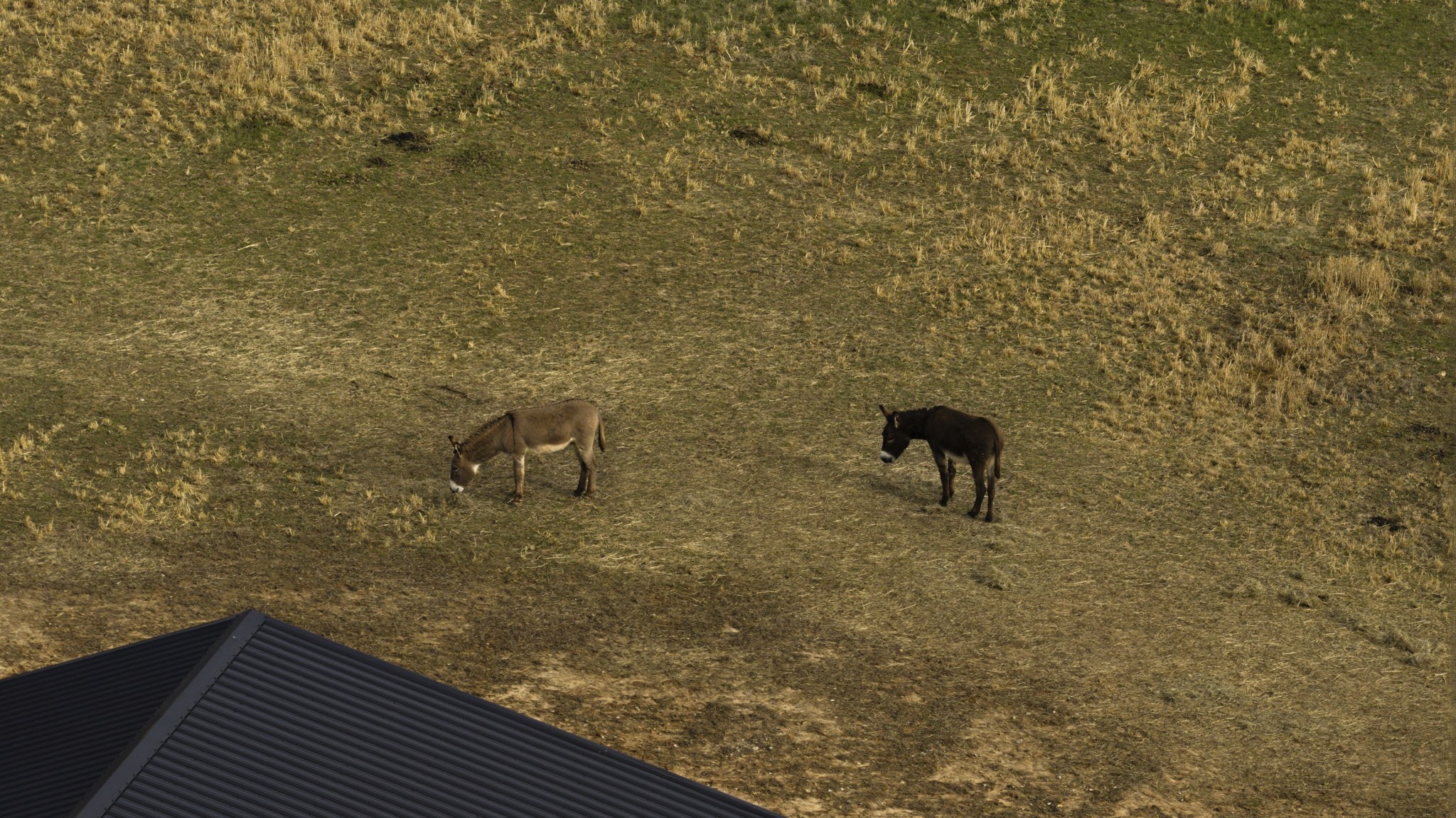 1185 Jack Smith Road Rockfield, KY 42274 - Photo 27 of 92