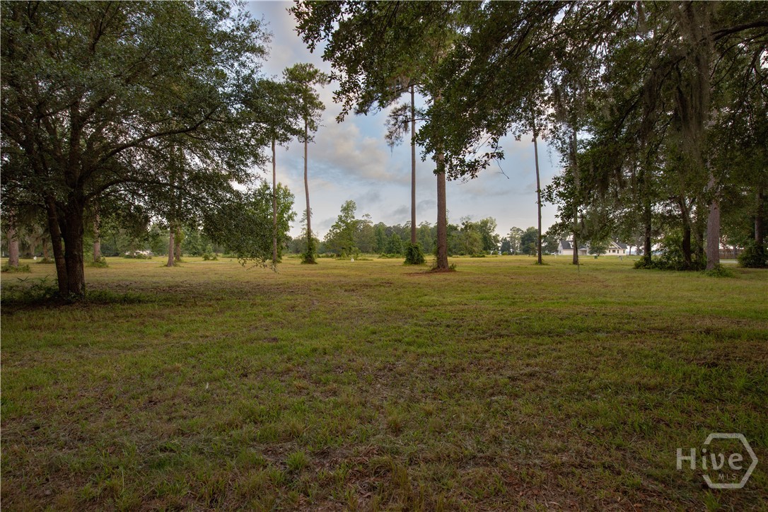 0 Northeast Baker Island Way, Unit LOT 11 Townsend, GA 31331 - Photo 17 of 29 Gallery Image 17