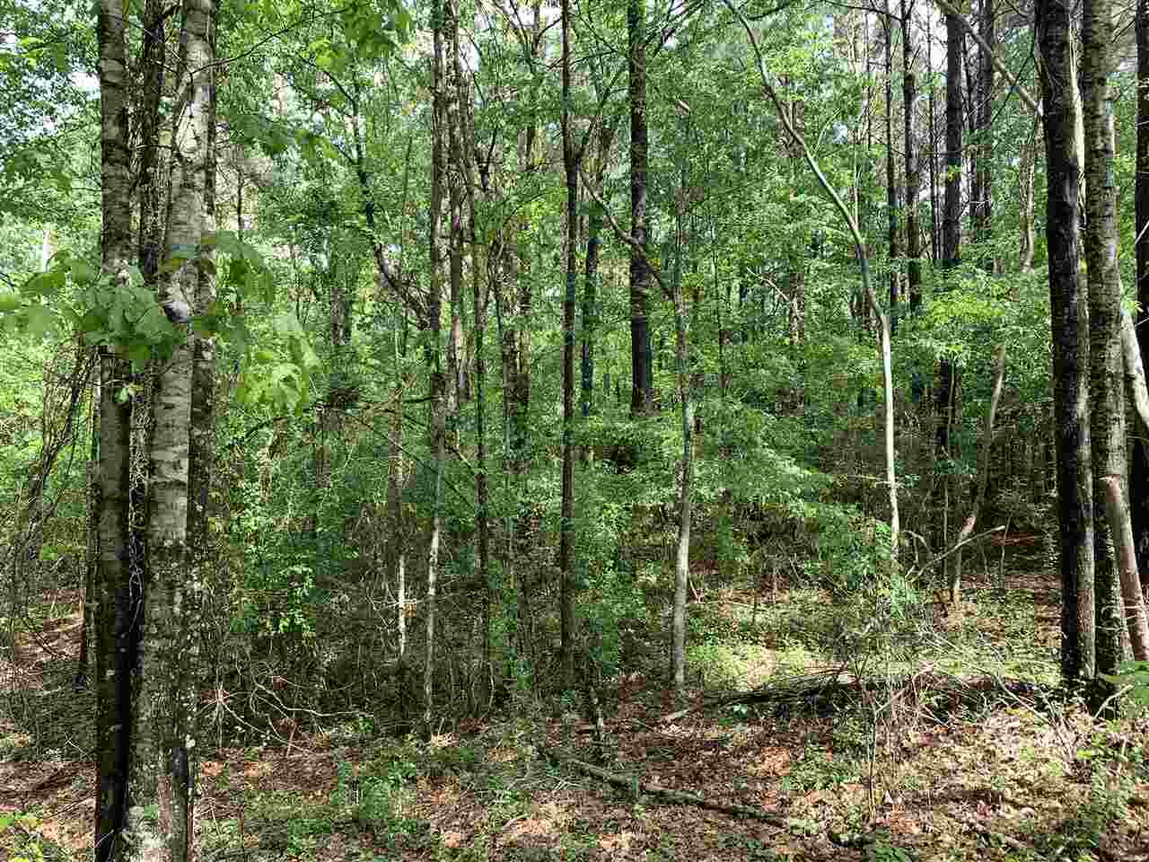 0 Jefferson Road Pearl, MS 39208 - Photo 4 of 10 Photo 4