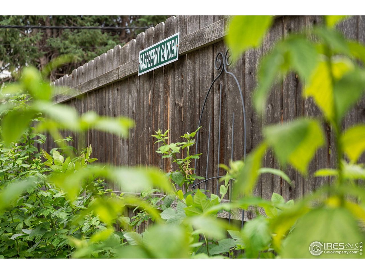 820 6th Street Boulder, CO 80302 - Photo 28 of 29 a backyard of a house with table and chairs