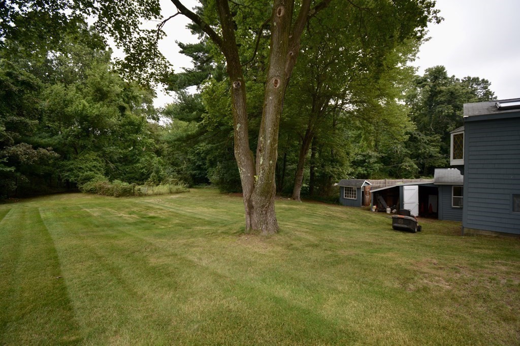 48 Randolph Street Canton, MA 02021 - Photo 20 of 21 a view of a house with a yard