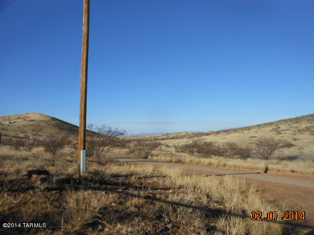 Gallery Image 7