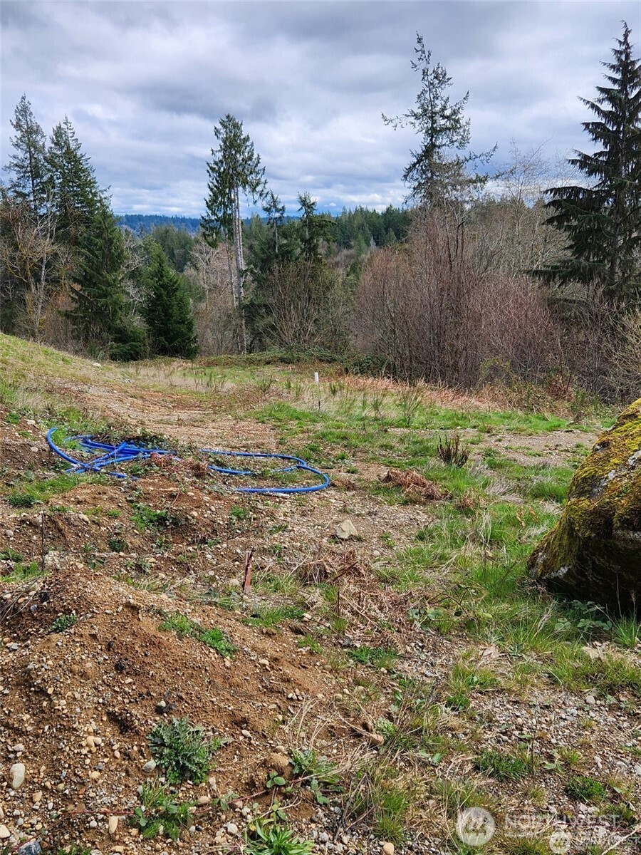 0 East Russet Ridge Road Allyn, WA 98524 - Photo 2 of 13 Gallery Image 2